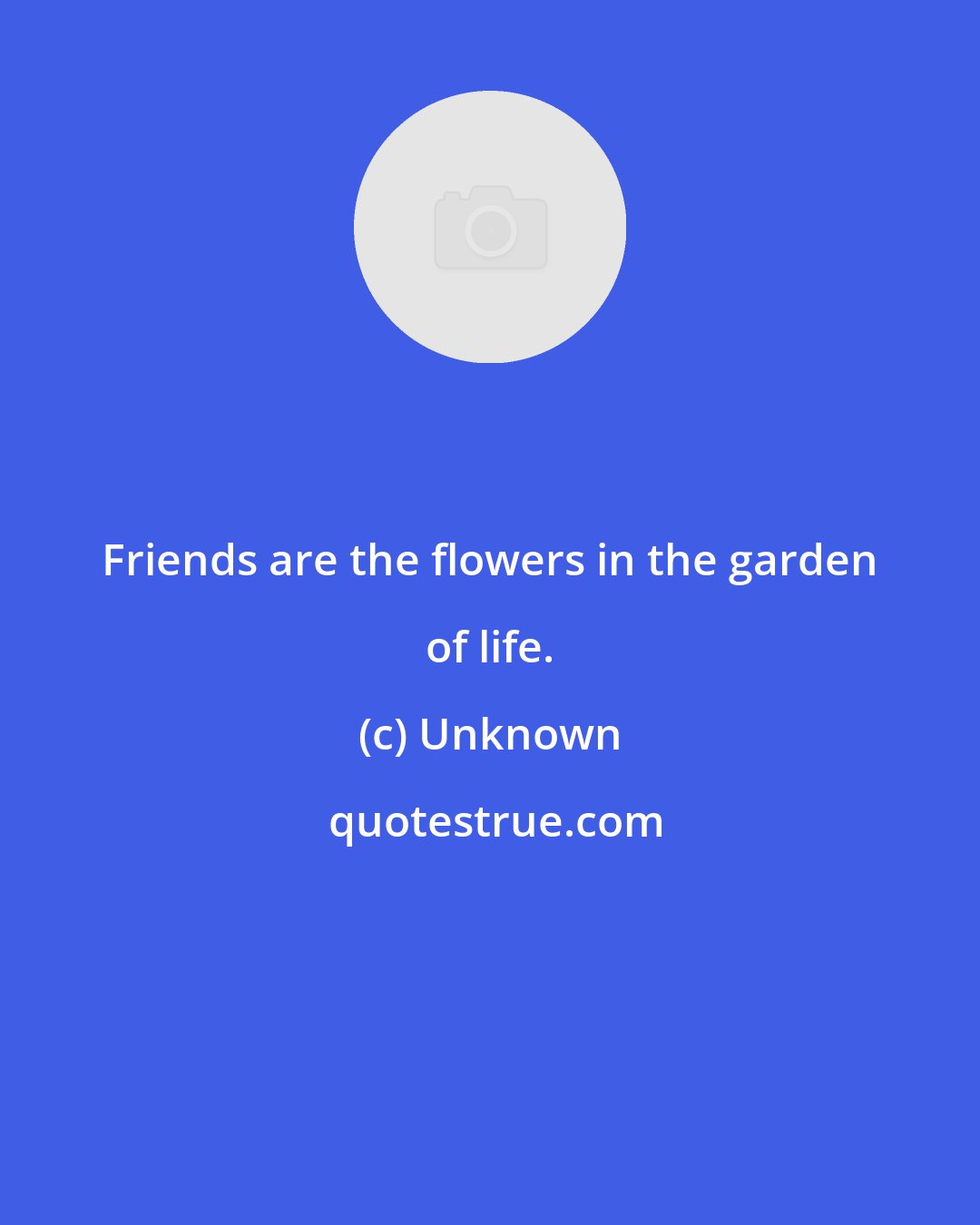 Unknown: Friends are the flowers in the garden of life.