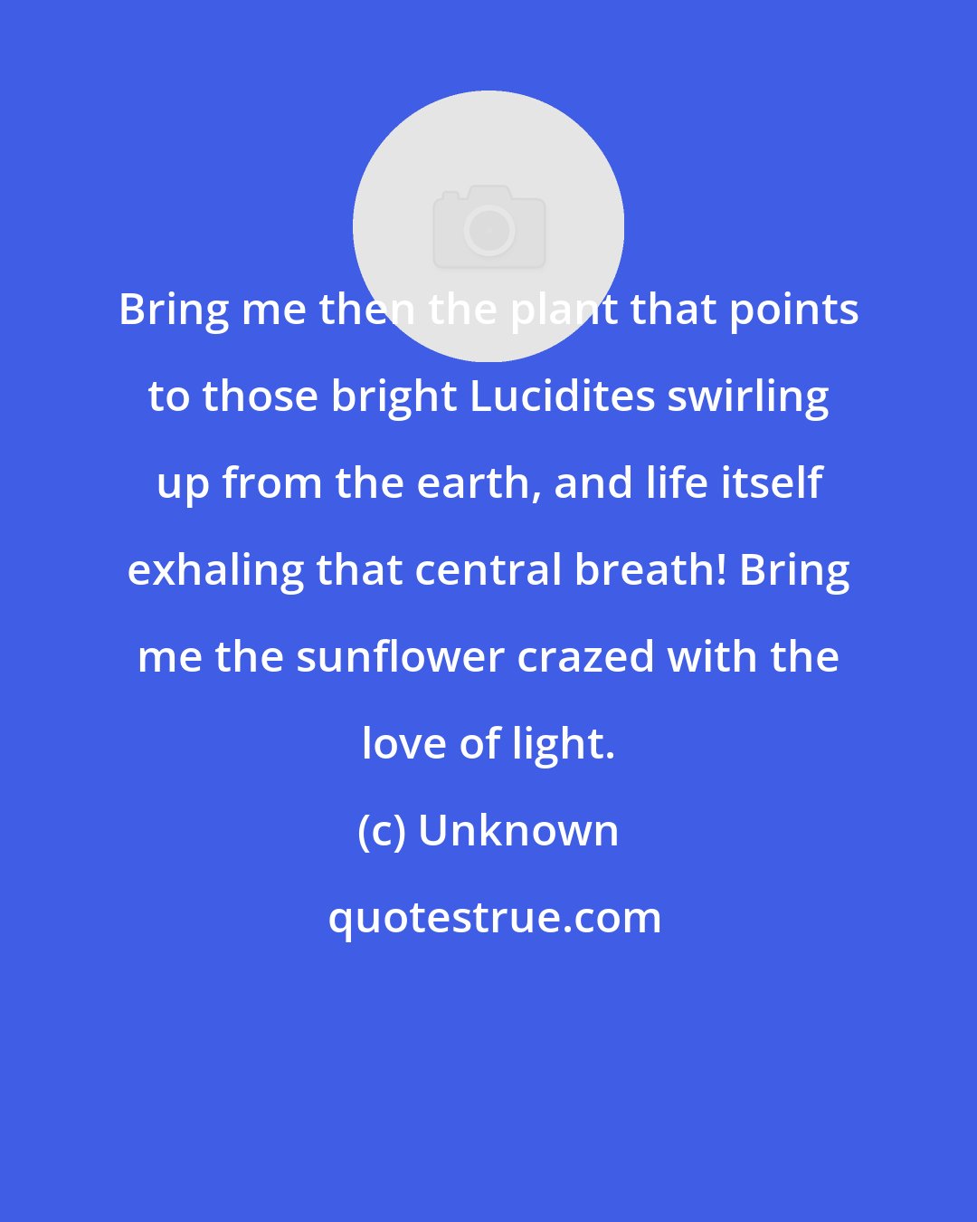 Unknown: Bring me then the plant that points to those bright Lucidites swirling up from the earth, and life itself exhaling that central breath! Bring me the sunflower crazed with the love of light.