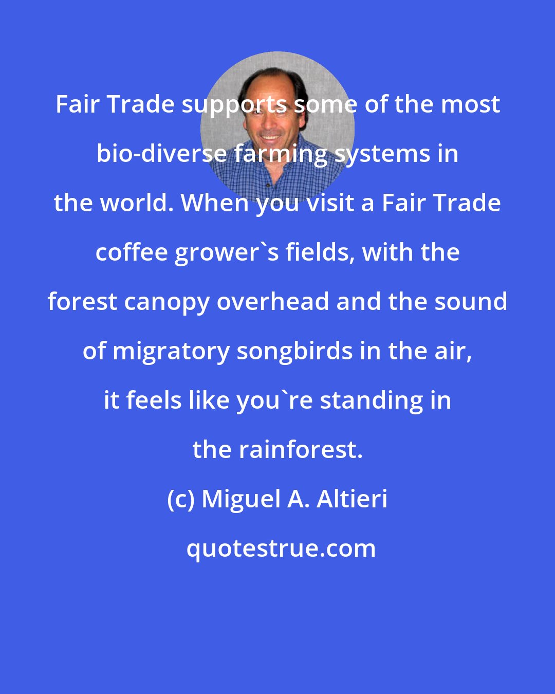 Miguel A. Altieri: Fair Trade supports some of the most bio-diverse farming systems in the world. When you visit a Fair Trade coffee grower's fields, with the forest canopy overhead and the sound of migratory songbirds in the air, it feels like you're standing in the rainforest.