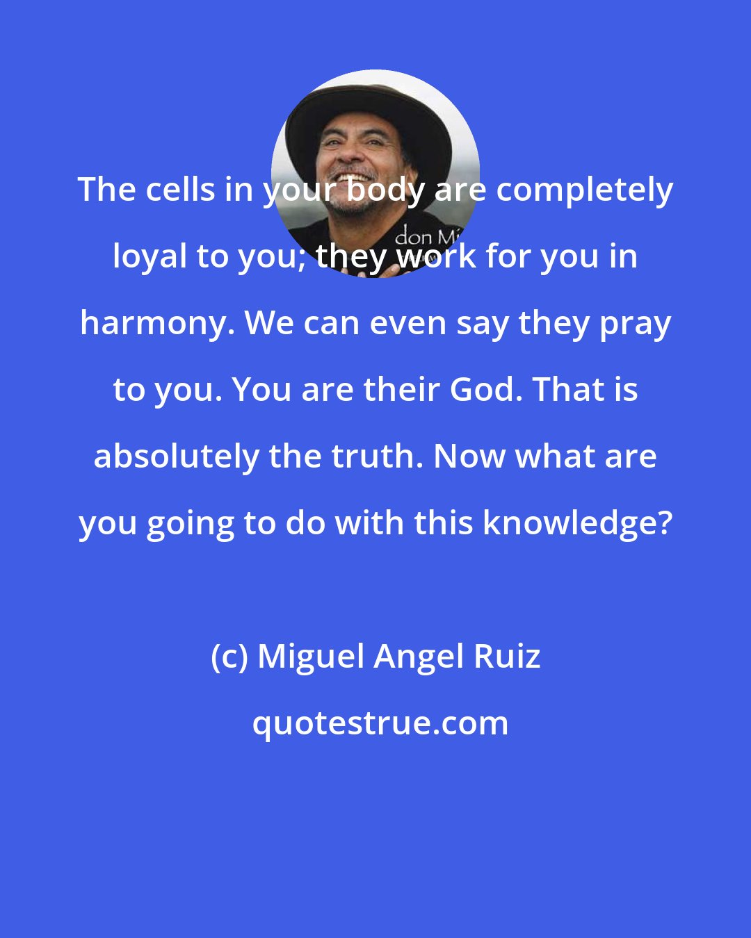 Miguel Angel Ruiz: The cells in your body are completely loyal to you; they work for you in harmony. We can even say they pray to you. You are their God. That is absolutely the truth. Now what are you going to do with this knowledge?