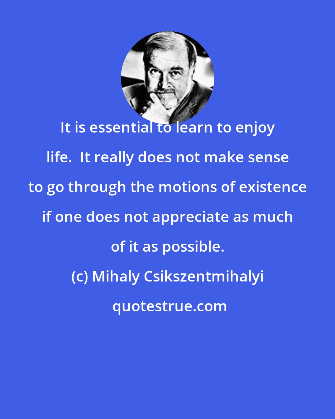 Mihaly Csikszentmihalyi: It is essential to learn to enjoy life.  It really does not make sense to go through the motions of existence if one does not appreciate as much of it as possible.