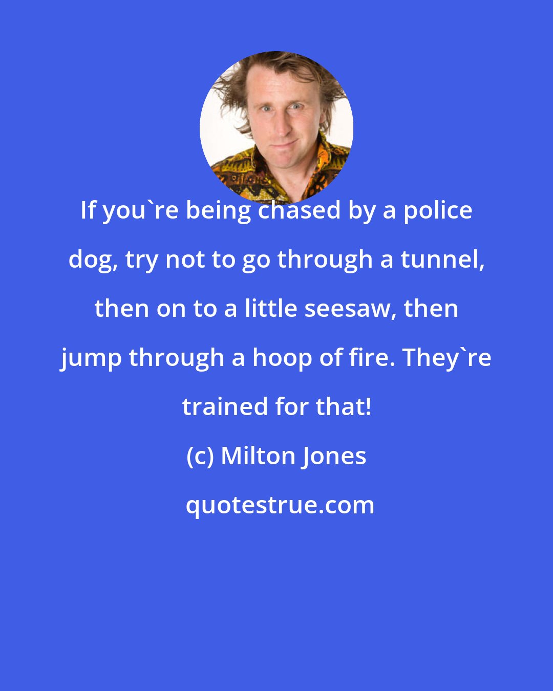 Milton Jones: If you're being chased by a police dog, try not to go through a tunnel, then on to a little seesaw, then jump through a hoop of fire. They're trained for that!