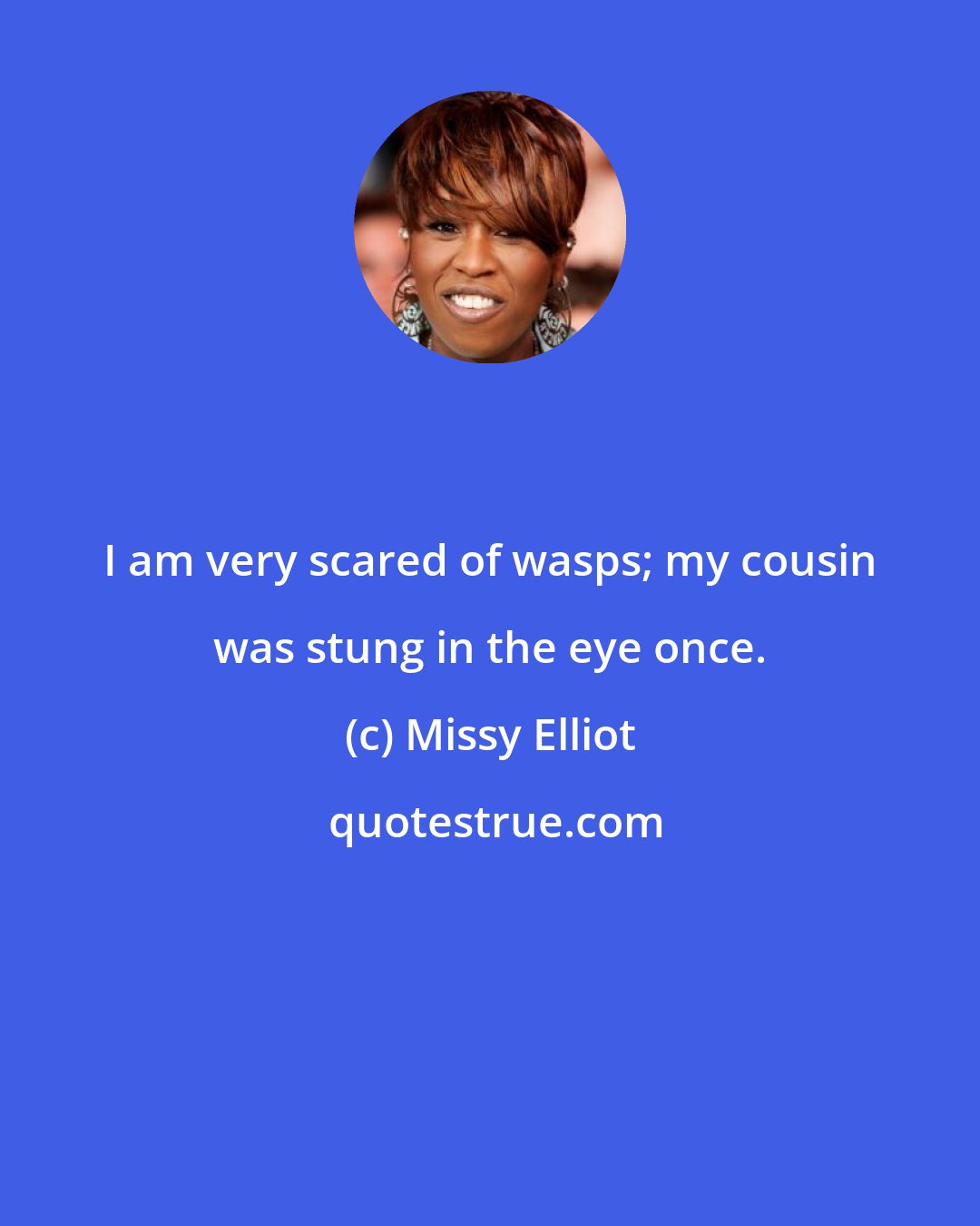 Missy Elliot: I am very scared of wasps; my cousin was stung in the eye once.