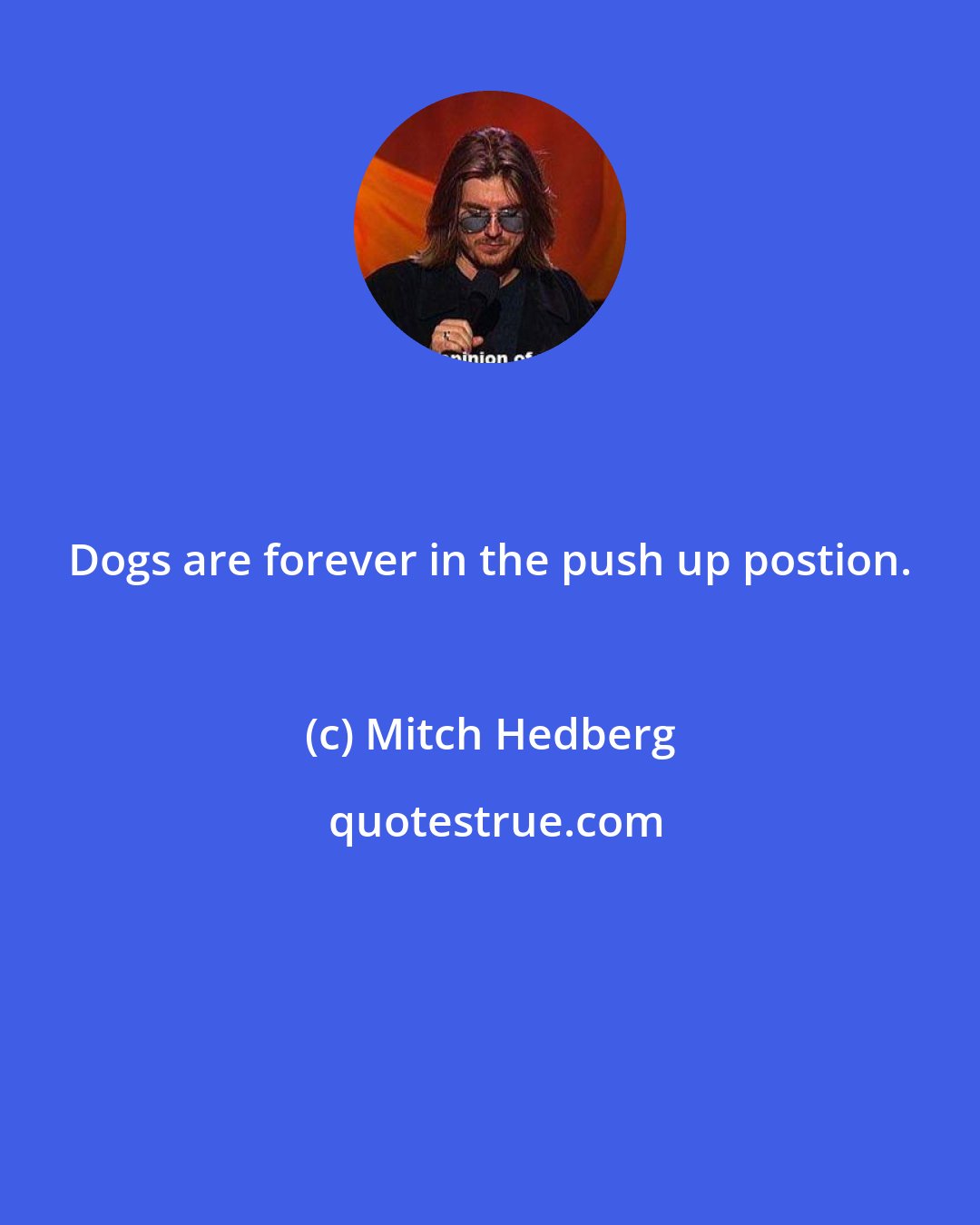 Mitch Hedberg: Dogs are forever in the push up postion.