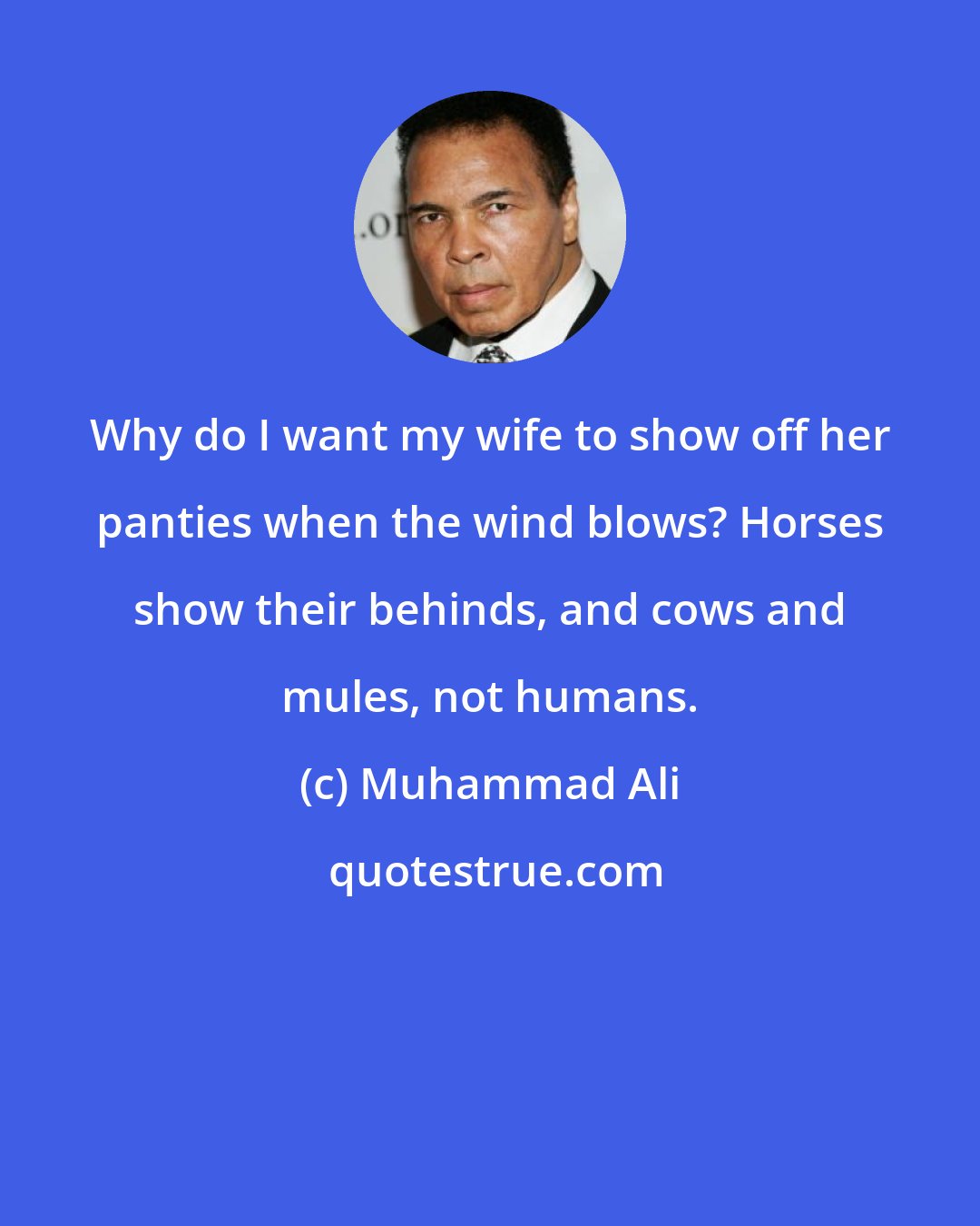 Muhammad Ali: Why do I want my wife to show off her panties when the wind blows? Horses show their behinds, and cows and mules, not humans.