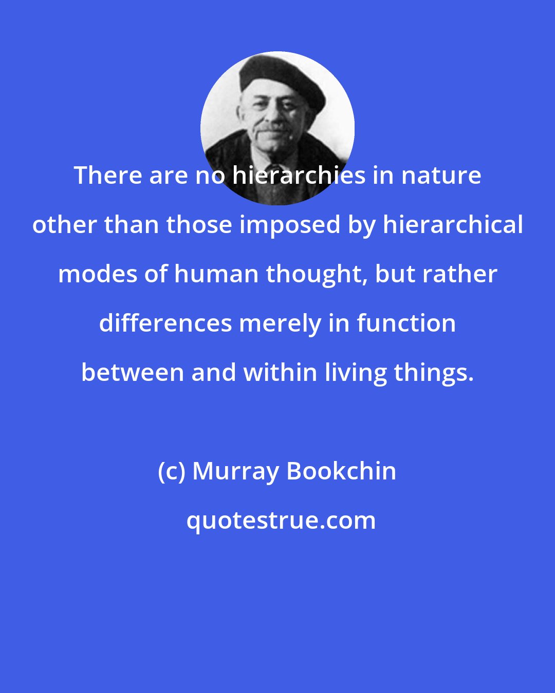 Murray Bookchin: There are no hierarchies in nature other than those imposed by hierarchical modes of human thought, but rather differences merely in function between and within living things.