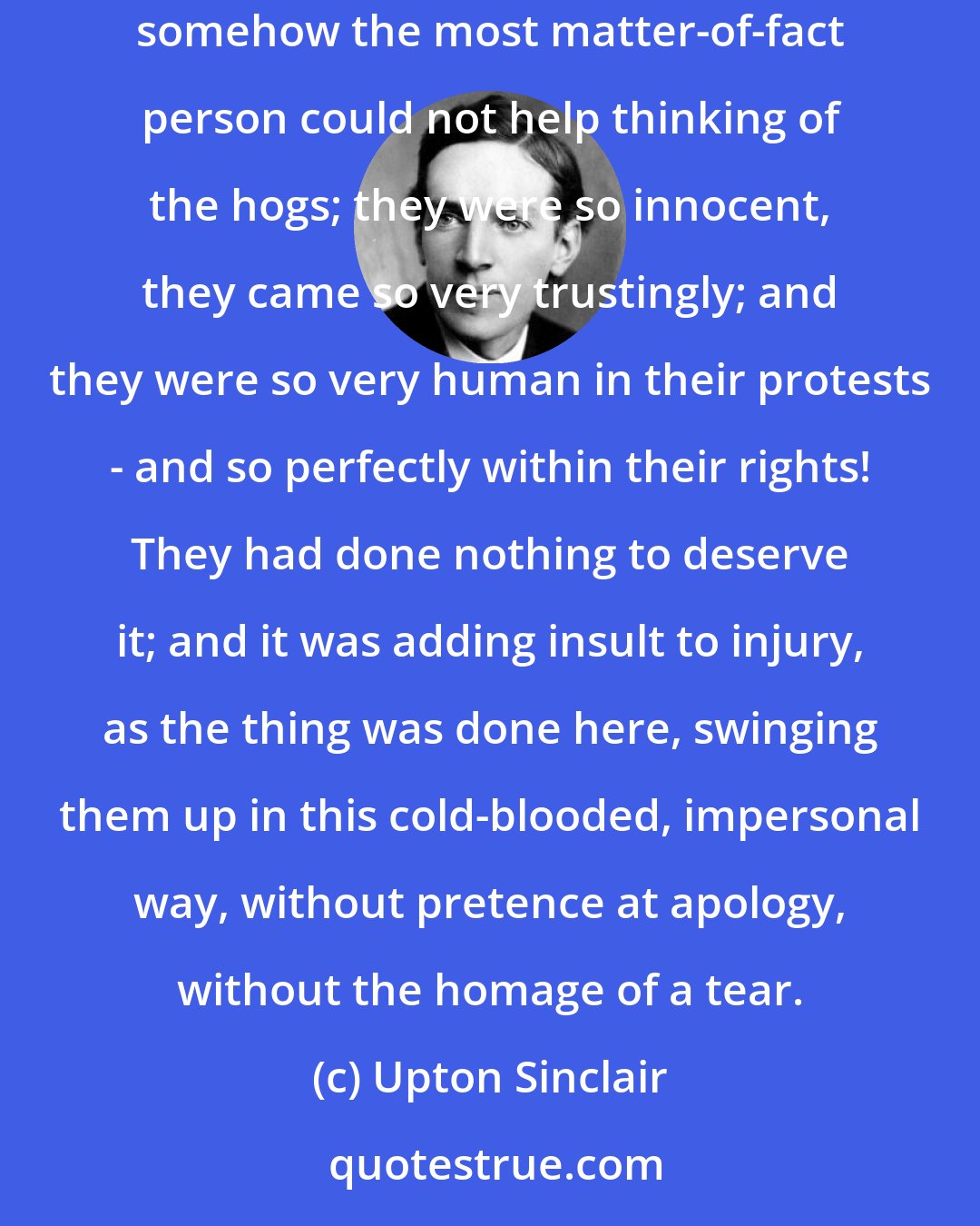 Upton Sinclair: It was all so very businesslike that one watched it fascinated. It was pork-making by machinery, pork-making by applied mathematics. And yet somehow the most matter-of-fact person could not help thinking of the hogs; they were so innocent, they came so very trustingly; and they were so very human in their protests - and so perfectly within their rights! They had done nothing to deserve it; and it was adding insult to injury, as the thing was done here, swinging them up in this cold-blooded, impersonal way, without pretence at apology, without the homage of a tear.