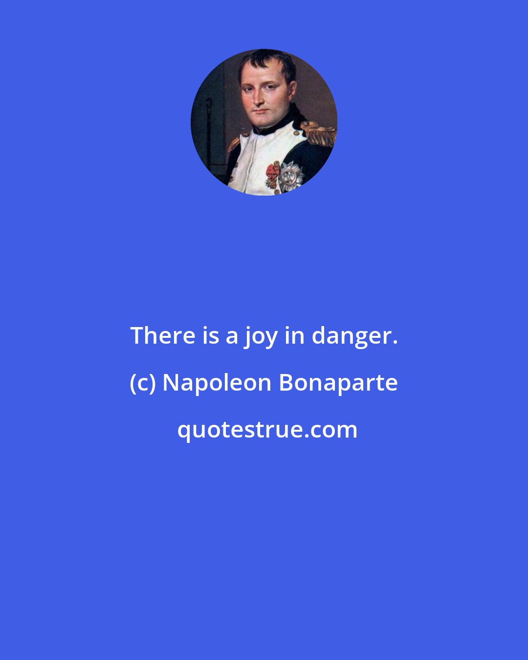 Napoleon Bonaparte: There is a joy in danger.