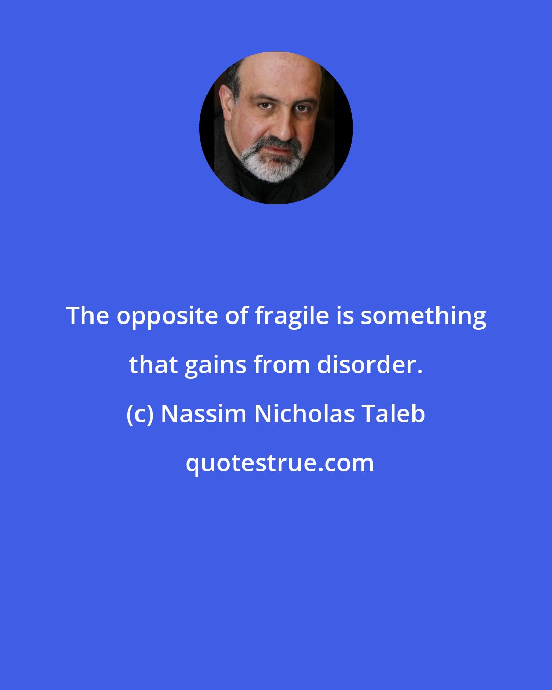 Nassim Nicholas Taleb: The opposite of fragile is something that gains from disorder.