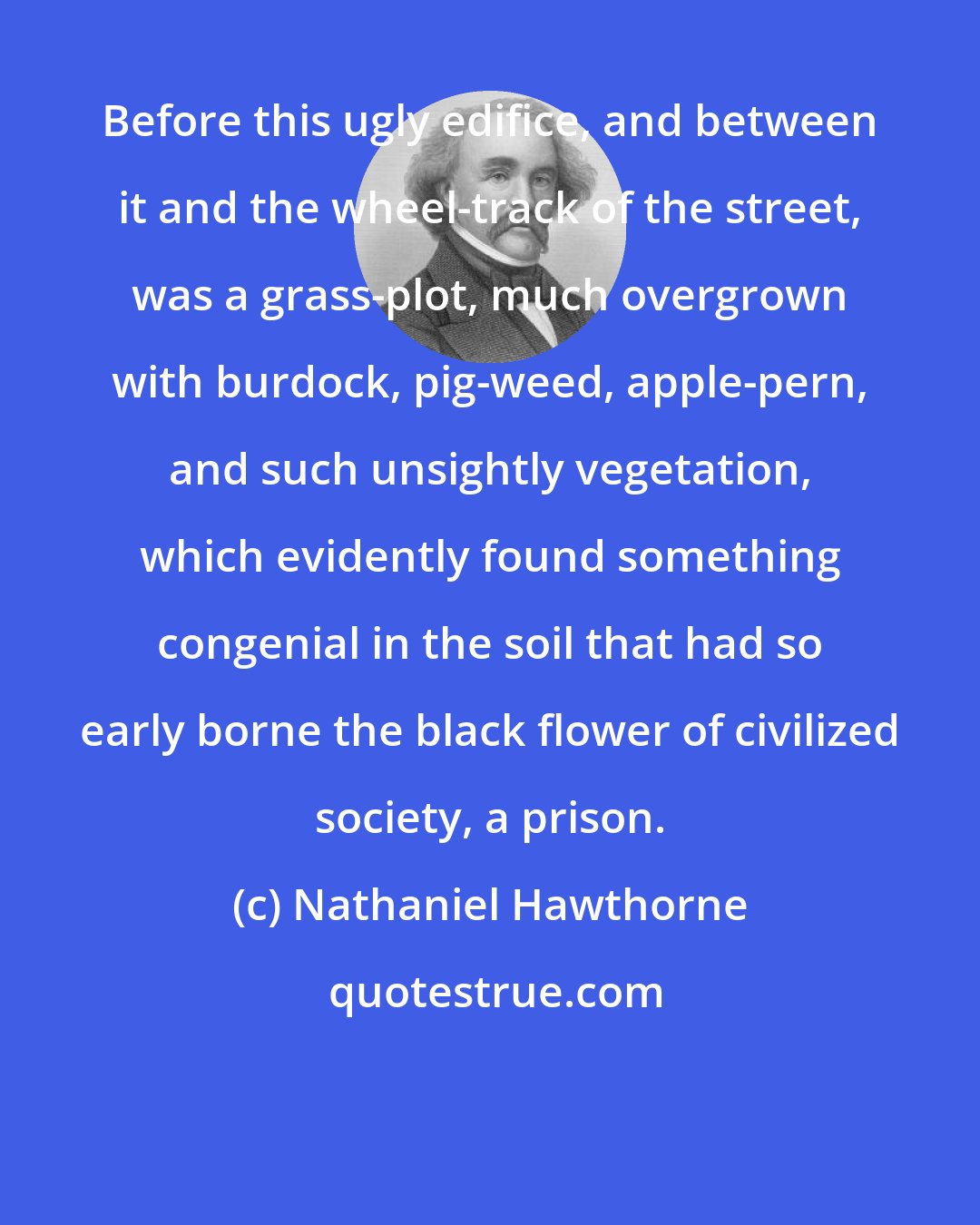 Nathaniel Hawthorne: Before this ugly edifice, and between it and the wheel-track of the street, was a grass-plot, much overgrown with burdock, pig-weed, apple-pern, and such unsightly vegetation, which evidently found something congenial in the soil that had so early borne the black flower of civilized society, a prison.