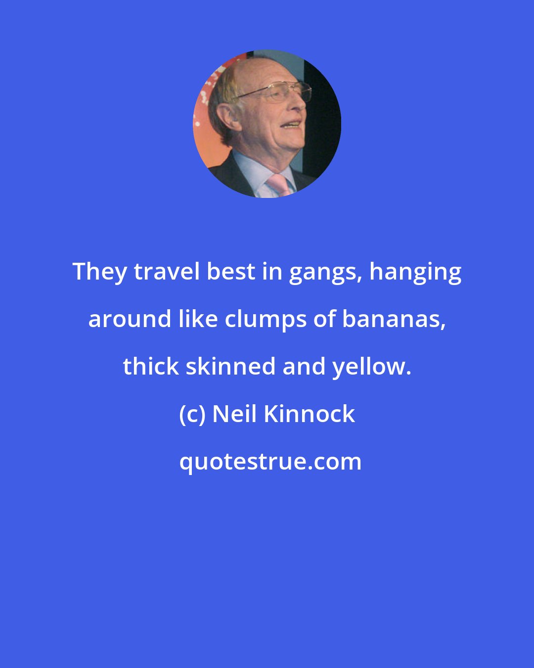 Neil Kinnock: They travel best in gangs, hanging around like clumps of bananas, thick skinned and yellow.