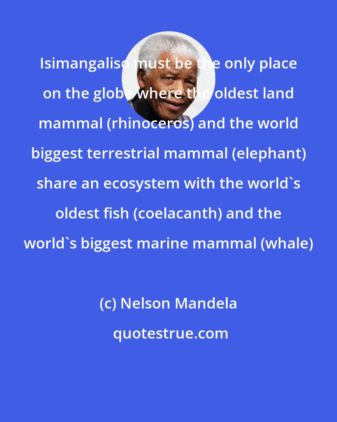 Nelson Mandela: Isimangaliso must be the only place on the globe where the oldest land mammal (rhinoceros) and the world biggest terrestrial mammal (elephant) share an ecosystem with the world's oldest fish (coelacanth) and the world's biggest marine mammal (whale)