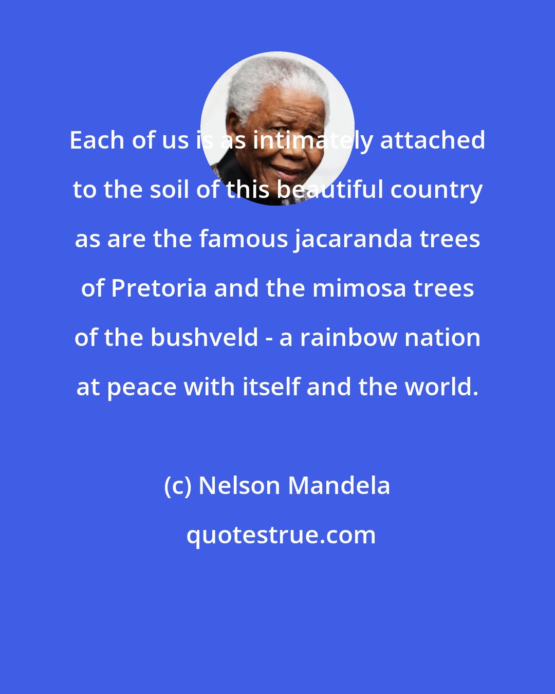 Nelson Mandela: Each of us is as intimately attached to the soil of this beautiful country as are the famous jacaranda trees of Pretoria and the mimosa trees of the bushveld - a rainbow nation at peace with itself and the world.