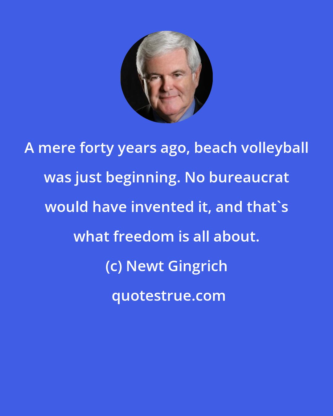 Newt Gingrich: A mere forty years ago, beach volleyball was just beginning. No bureaucrat would have invented it, and that's what freedom is all about.