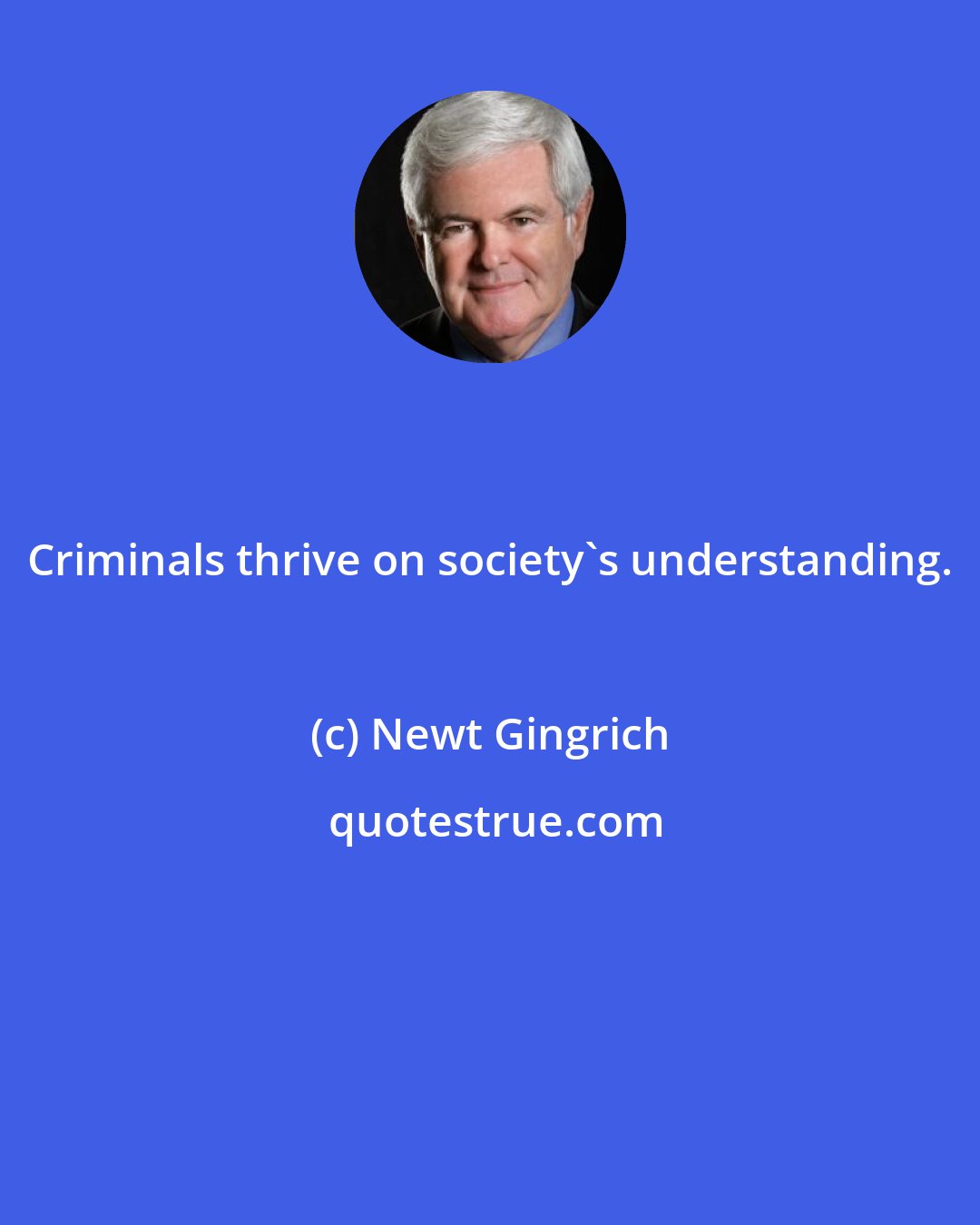 Newt Gingrich: Criminals thrive on society's understanding.