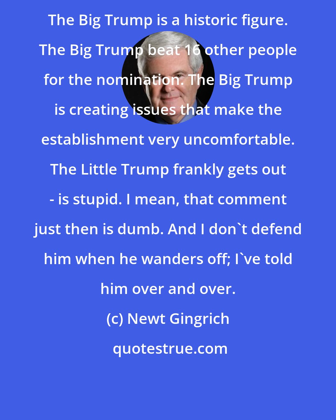 Newt Gingrich: The Big Trump is a historic figure. The Big Trump beat 16 other people for the nomination. The Big Trump is creating issues that make the establishment very uncomfortable. The Little Trump frankly gets out - is stupid. I mean, that comment just then is dumb. And I don't defend him when he wanders off; I've told him over and over.