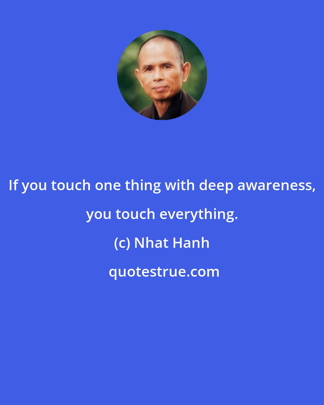 Nhat Hanh: If you touch one thing with deep awareness, you touch everything.