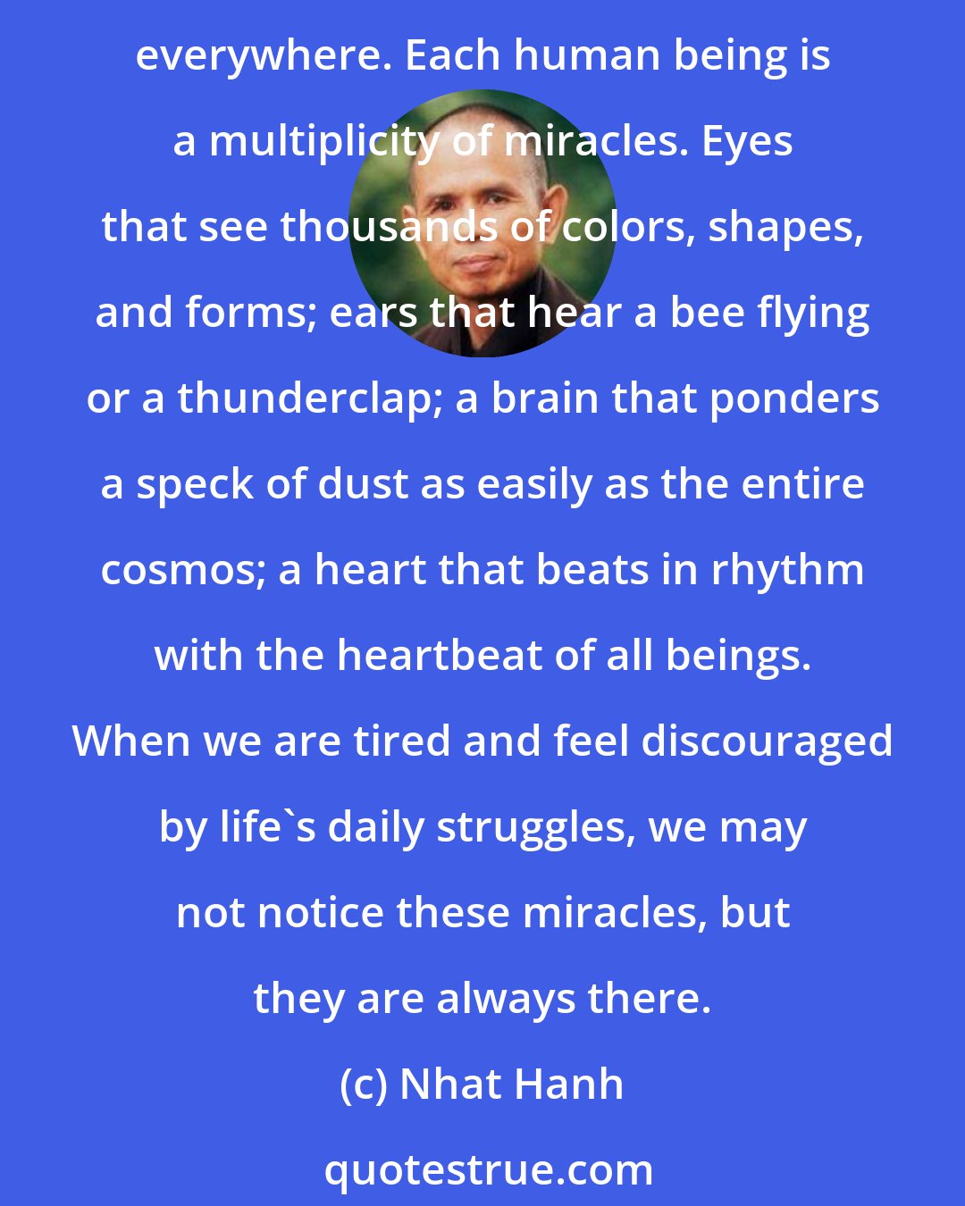 Nhat Hanh: Around us, life bursts with miracles--a glass of water, a ray of sunshine, a leaf, a caterpillar, a flower, laughter, raindrops. If you live in awareness, it is easy to see miracles everywhere. Each human being is a multiplicity of miracles. Eyes that see thousands of colors, shapes, and forms; ears that hear a bee flying or a thunderclap; a brain that ponders a speck of dust as easily as the entire cosmos; a heart that beats in rhythm with the heartbeat of all beings. When we are tired and feel discouraged by life's daily struggles, we may not notice these miracles, but they are always there.