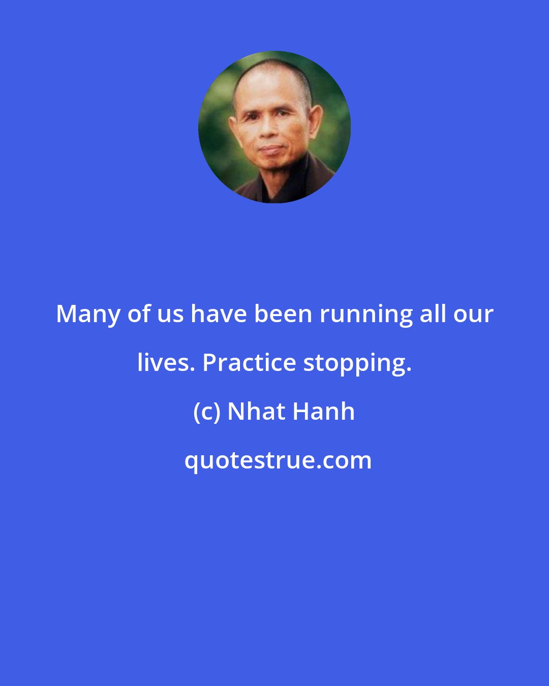 Nhat Hanh: Many of us have been running all our lives. Practice stopping.