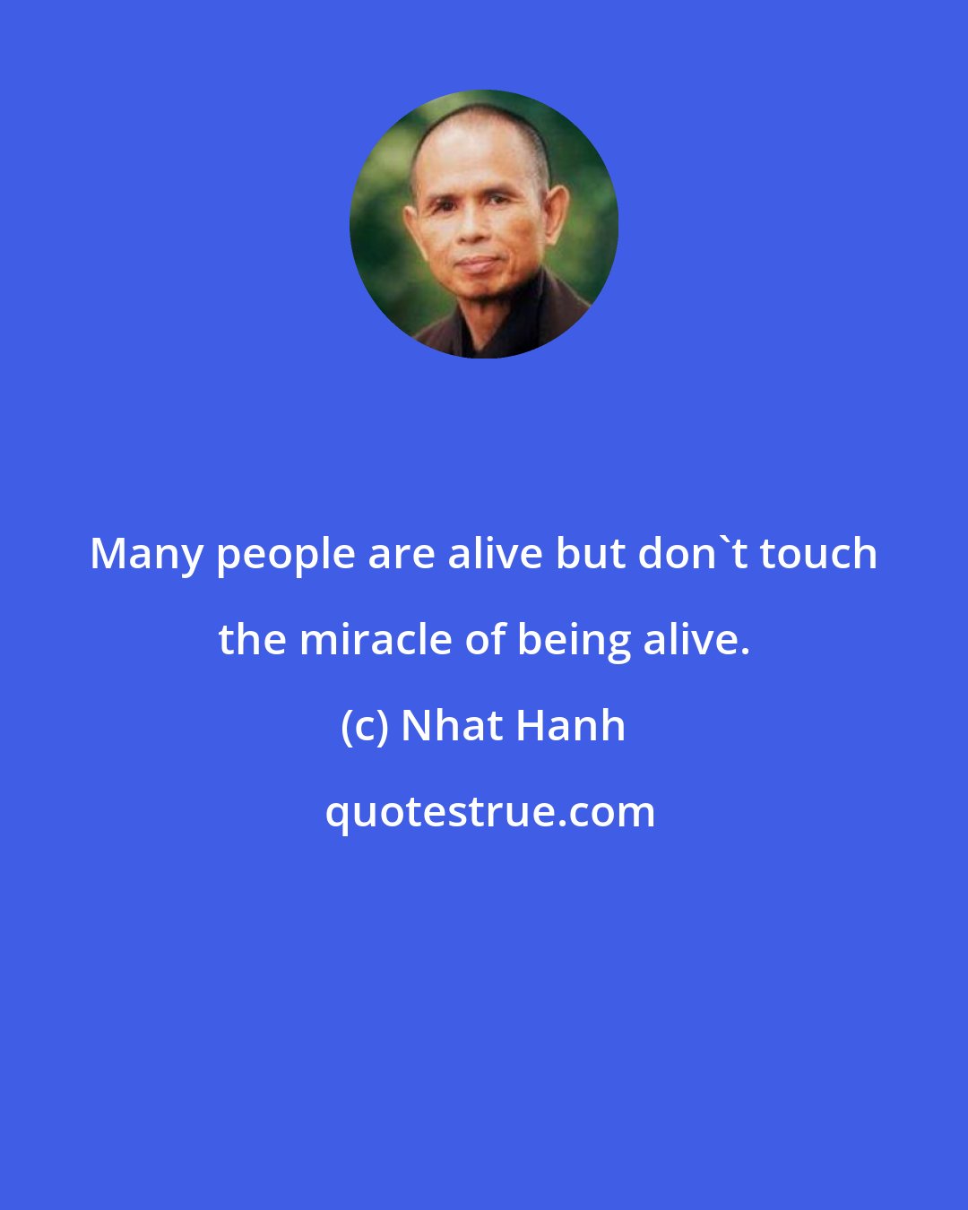 Nhat Hanh: Many people are alive but don't touch the miracle of being alive.