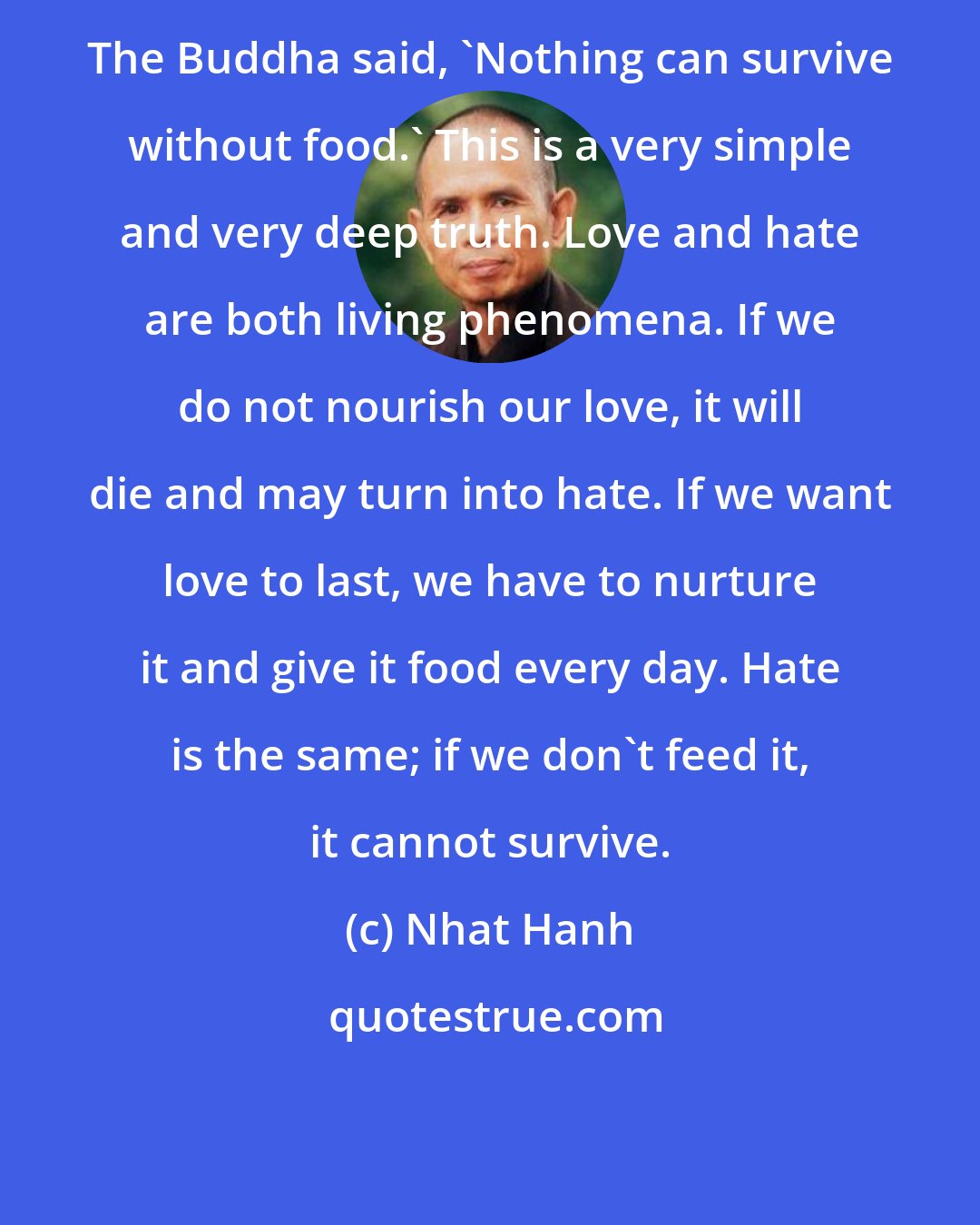 Nhat Hanh: The Buddha said, 'Nothing can survive without food.' This is a very simple and very deep truth. Love and hate are both living phenomena. If we do not nourish our love, it will die and may turn into hate. If we want love to last, we have to nurture it and give it food every day. Hate is the same; if we don't feed it, it cannot survive.