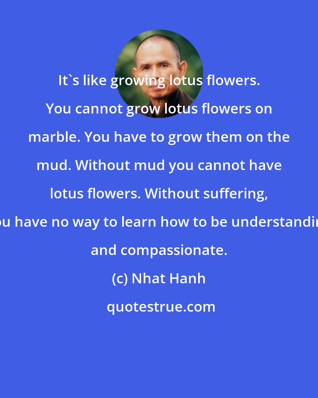 Nhat Hanh: It's like growing lotus flowers. You cannot grow lotus flowers on marble. You have to grow them on the mud. Without mud you cannot have lotus flowers. Without suffering, you have no way to learn how to be understanding and compassionate.