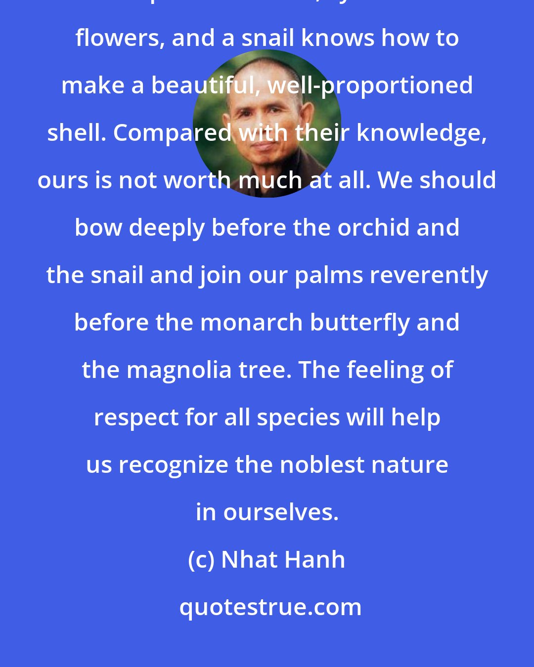 Nhat Hanh: We humans think we are smart, but an orchid, for example, knows how to produce noble, symmetrical flowers, and a snail knows how to make a beautiful, well-proportioned shell. Compared with their knowledge, ours is not worth much at all. We should bow deeply before the orchid and the snail and join our palms reverently before the monarch butterfly and the magnolia tree. The feeling of respect for all species will help us recognize the noblest nature in ourselves.