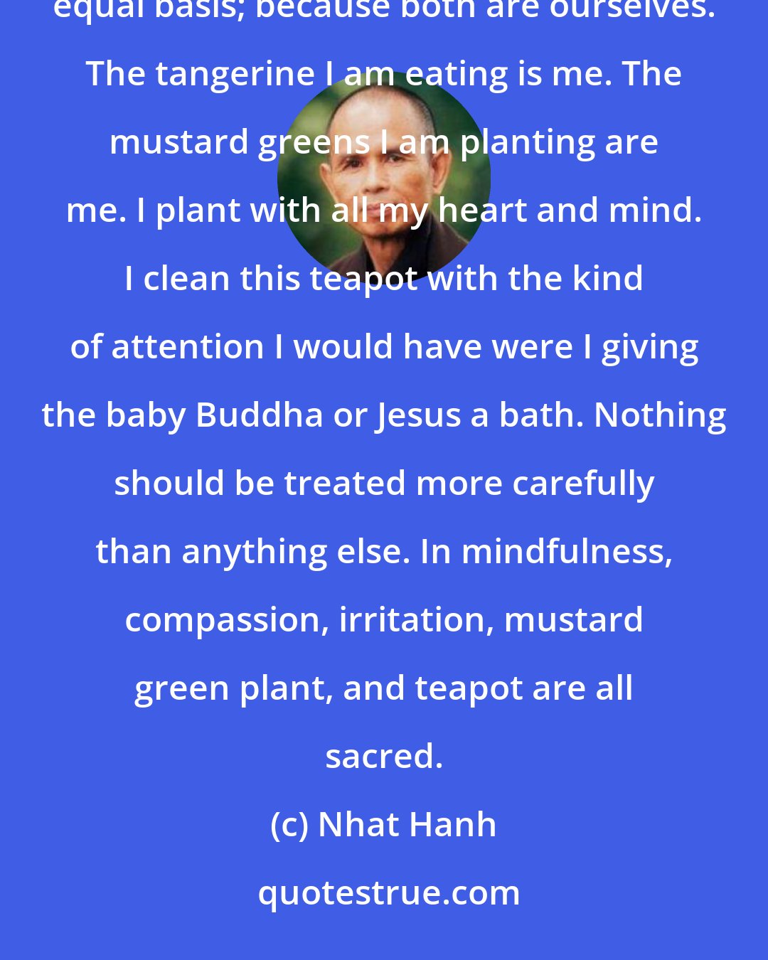 Nhat Hanh: Feelings, whether of compassion or irritation, should be welcomed, recognized, and treated on an absolutely equal basis; because both are ourselves. The tangerine I am eating is me. The mustard greens I am planting are me. I plant with all my heart and mind. I clean this teapot with the kind of attention I would have were I giving the baby Buddha or Jesus a bath. Nothing should be treated more carefully than anything else. In mindfulness, compassion, irritation, mustard green plant, and teapot are all sacred.