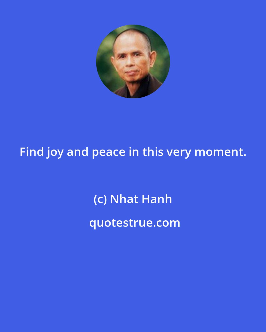 Nhat Hanh: Find joy and peace in this very moment.