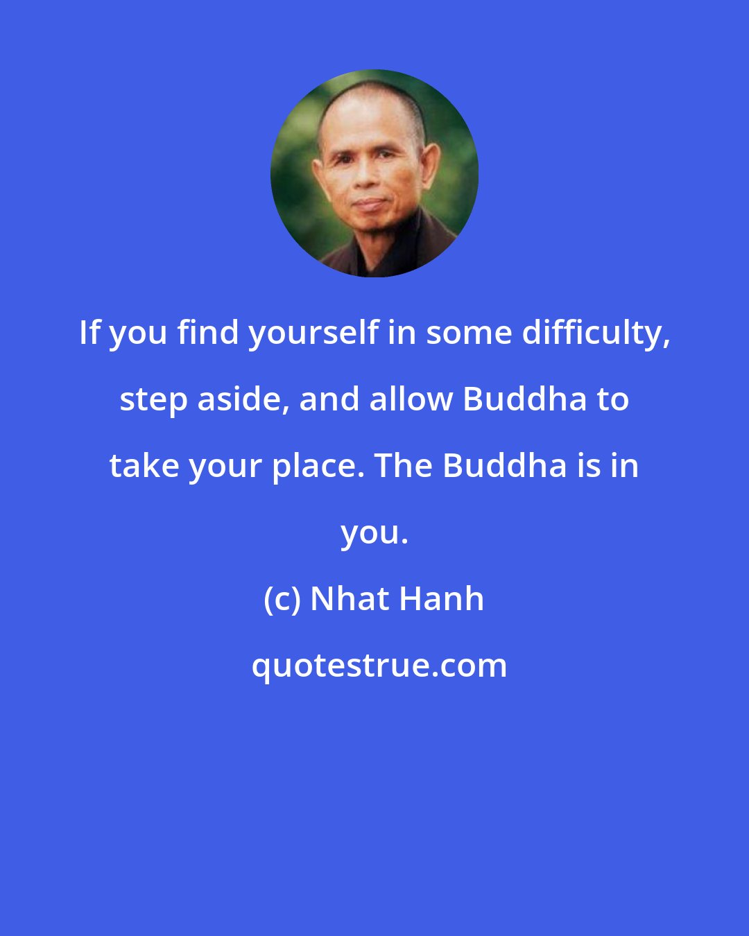 Nhat Hanh: If you find yourself in some difficulty, step aside, and allow Buddha to take your place. The Buddha is in you.