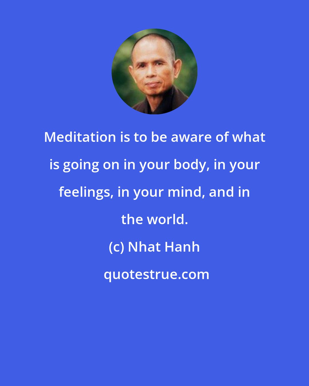 Nhat Hanh: Meditation is to be aware of what is going on in your body, in your feelings, in your mind, and in the world.