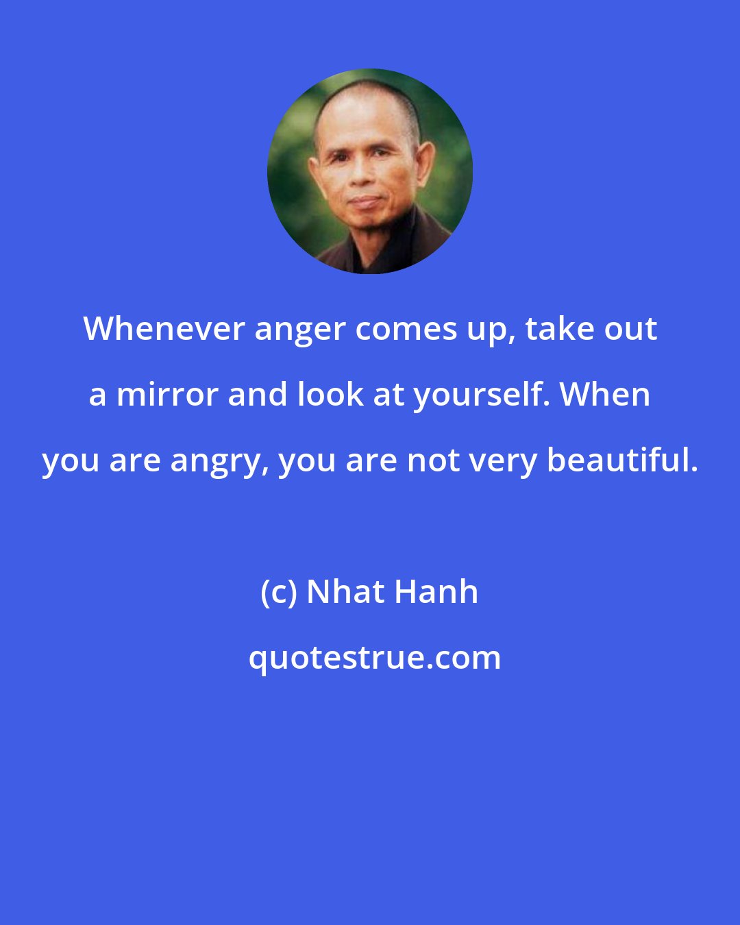 Nhat Hanh: Whenever anger comes up, take out a mirror and look at yourself. When you are angry, you are not very beautiful.