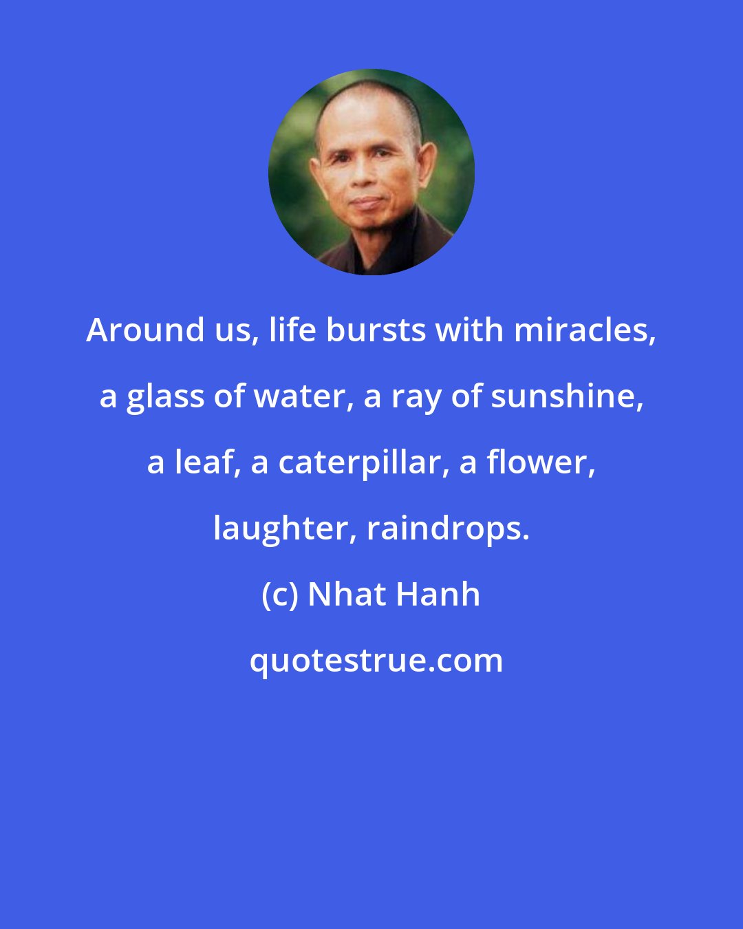 Nhat Hanh: Around us, life bursts with miracles, a glass of water, a ray of sunshine, a leaf, a caterpillar, a flower, laughter, raindrops.