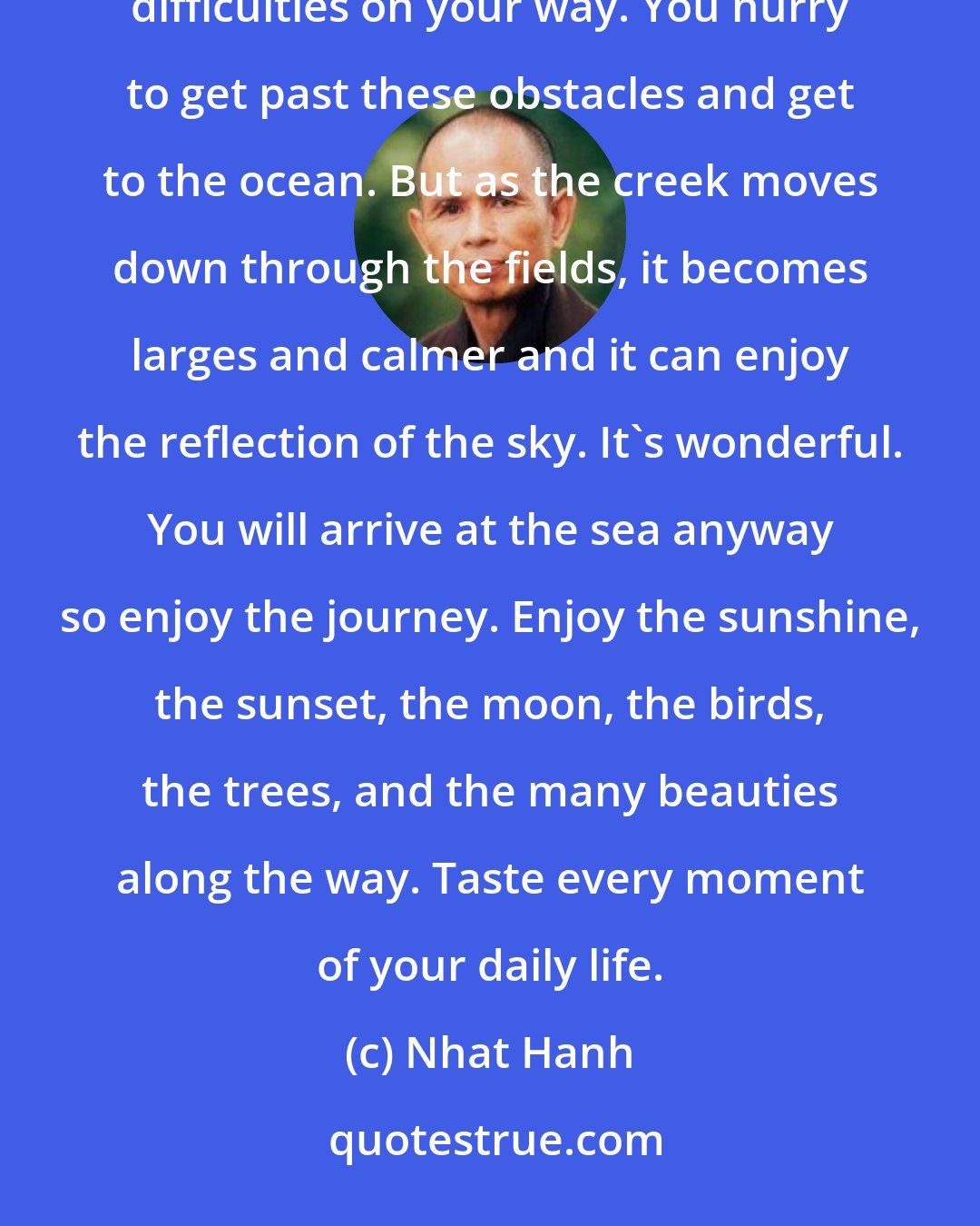 Nhat Hanh: When you are a young person, you are like a young creek, and you meet many rocks, many obstacles and difficulties on your way. You hurry to get past these obstacles and get to the ocean. But as the creek moves down through the fields, it becomes larges and calmer and it can enjoy the reflection of the sky. It's wonderful. You will arrive at the sea anyway so enjoy the journey. Enjoy the sunshine, the sunset, the moon, the birds, the trees, and the many beauties along the way. Taste every moment of your daily life.