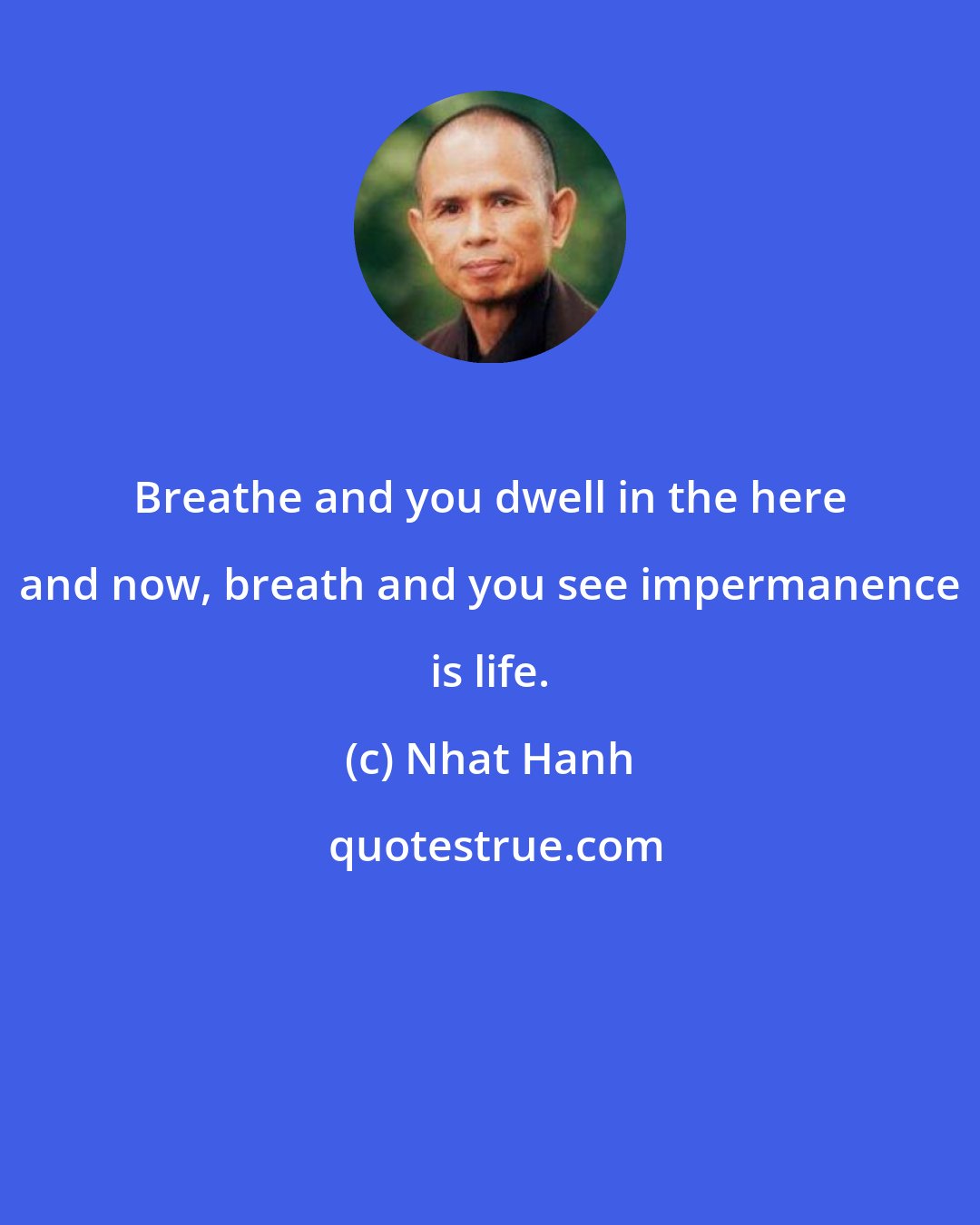 Nhat Hanh: Breathe and you dwell in the here and now, breath and you see impermanence is life.