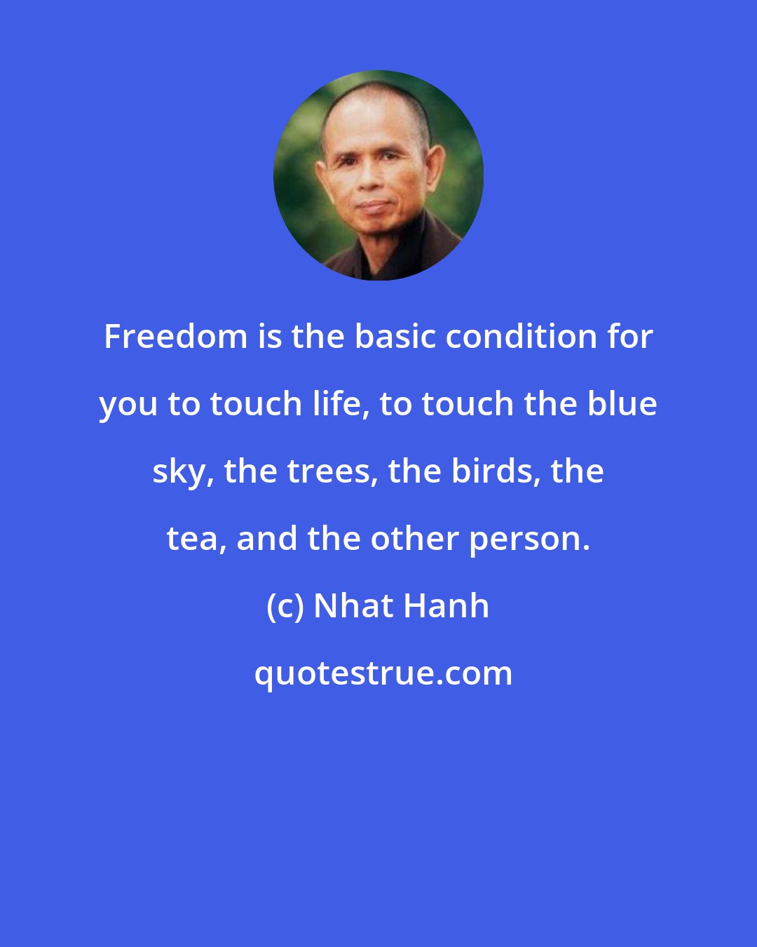 Nhat Hanh: Freedom is the basic condition for you to touch life, to touch the blue sky, the trees, the birds, the tea, and the other person.