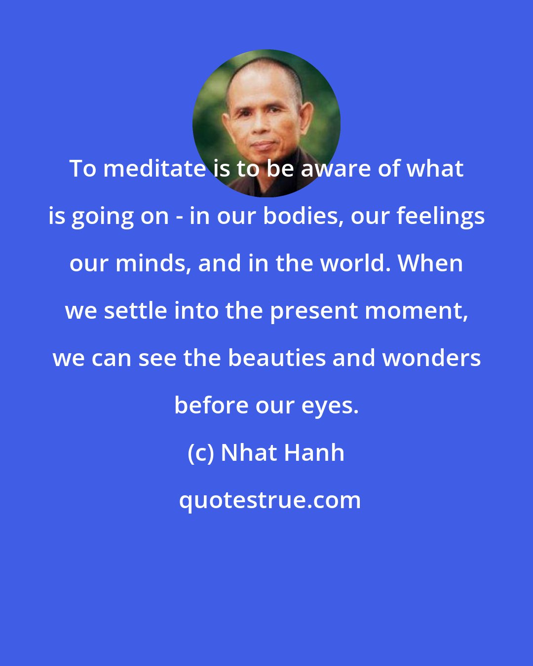 Nhat Hanh: To meditate is to be aware of what is going on - in our bodies, our feelings our minds, and in the world. When we settle into the present moment, we can see the beauties and wonders before our eyes.