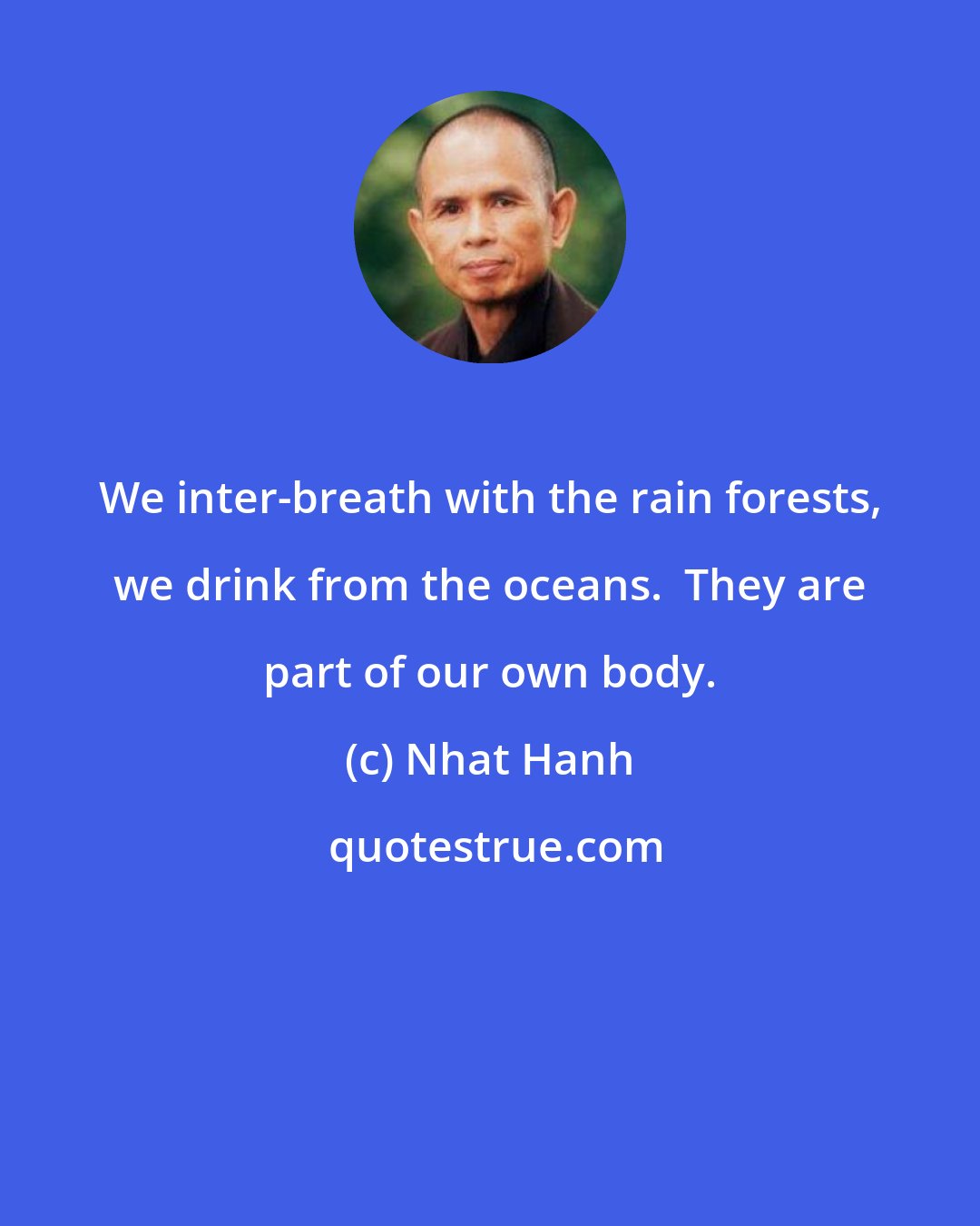 Nhat Hanh: We inter-breath with the rain forests, we drink from the oceans.  They are part of our own body.