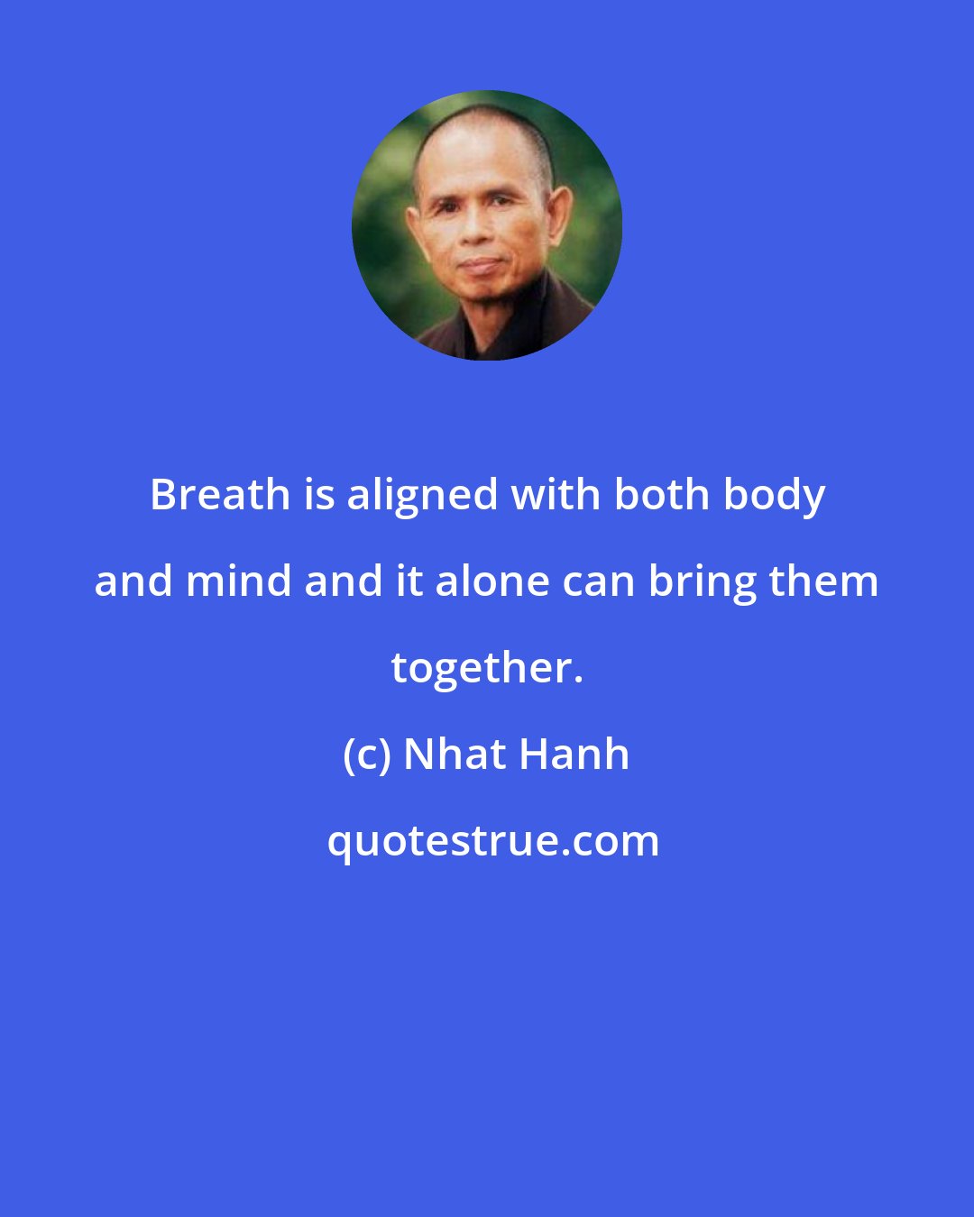 Nhat Hanh: Breath is aligned with both body and mind and it alone can bring them together.