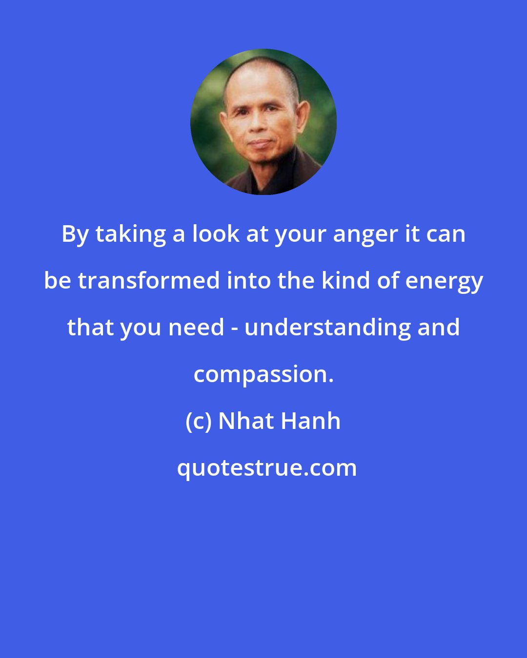 Nhat Hanh: By taking a look at your anger it can be transformed into the kind of energy that you need - understanding and compassion.