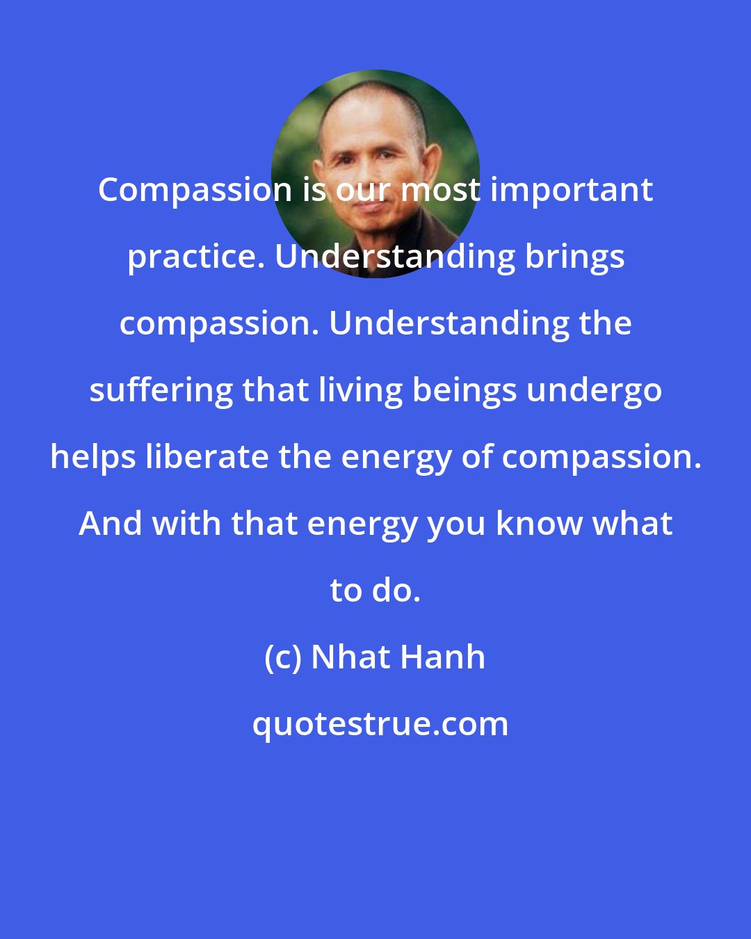 Nhat Hanh: Compassion is our most important practice. Understanding brings compassion. Understanding the suffering that living beings undergo helps liberate the energy of compassion. And with that energy you know what to do.