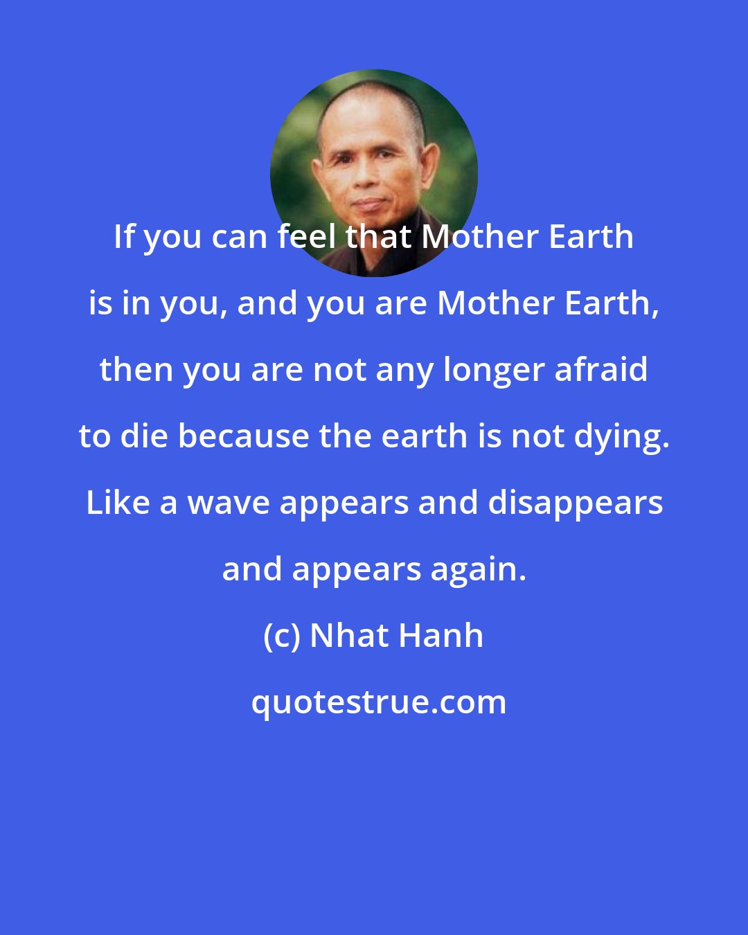 Nhat Hanh: If you can feel that Mother Earth is in you, and you are Mother Earth, then you are not any longer afraid to die because the earth is not dying. Like a wave appears and disappears and appears again.