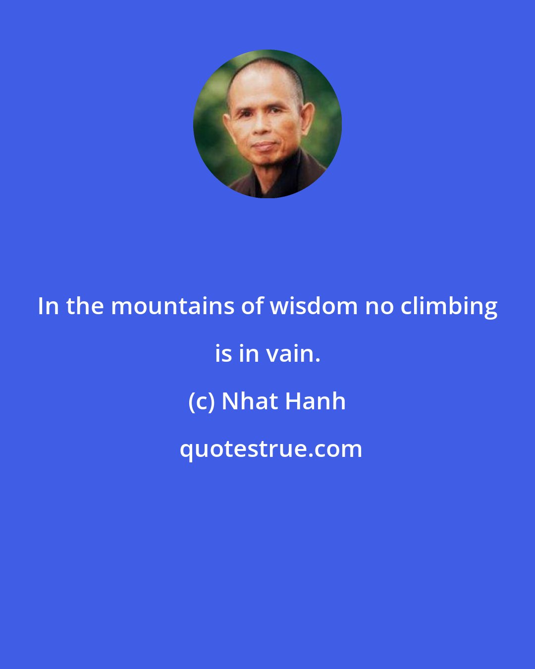 Nhat Hanh: In the mountains of wisdom no climbing is in vain.