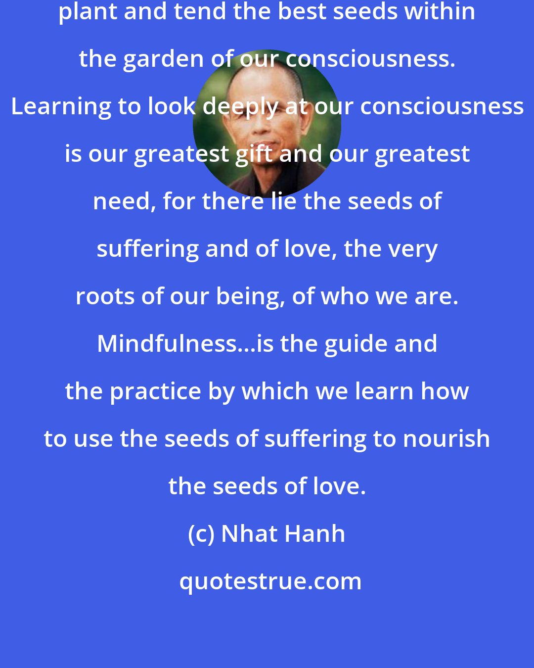 Nhat Hanh: Our role as gardeners is to choose, plant and tend the best seeds within the garden of our consciousness. Learning to look deeply at our consciousness is our greatest gift and our greatest need, for there lie the seeds of suffering and of love, the very roots of our being, of who we are. Mindfulness...is the guide and the practice by which we learn how to use the seeds of suffering to nourish the seeds of love.