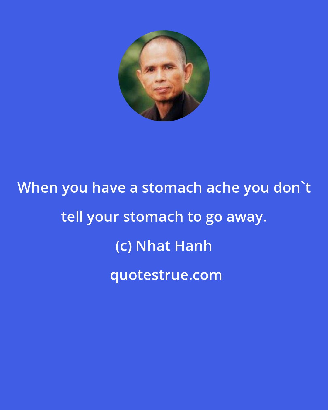 Nhat Hanh: When you have a stomach ache you don't tell your stomach to go away.