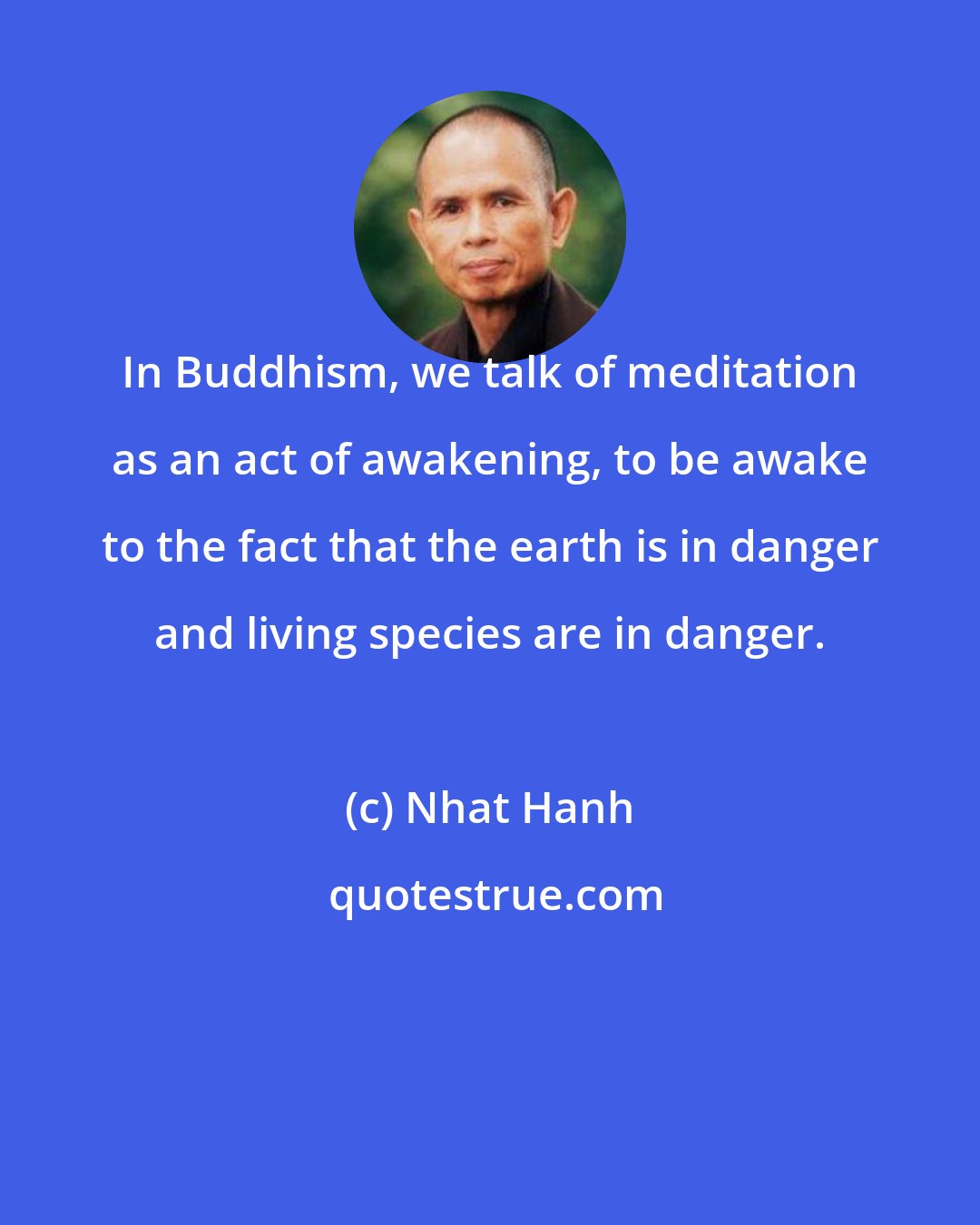 Nhat Hanh: In Buddhism, we talk of meditation as an act of awakening, to be awake to the fact that the earth is in danger and living species are in danger.