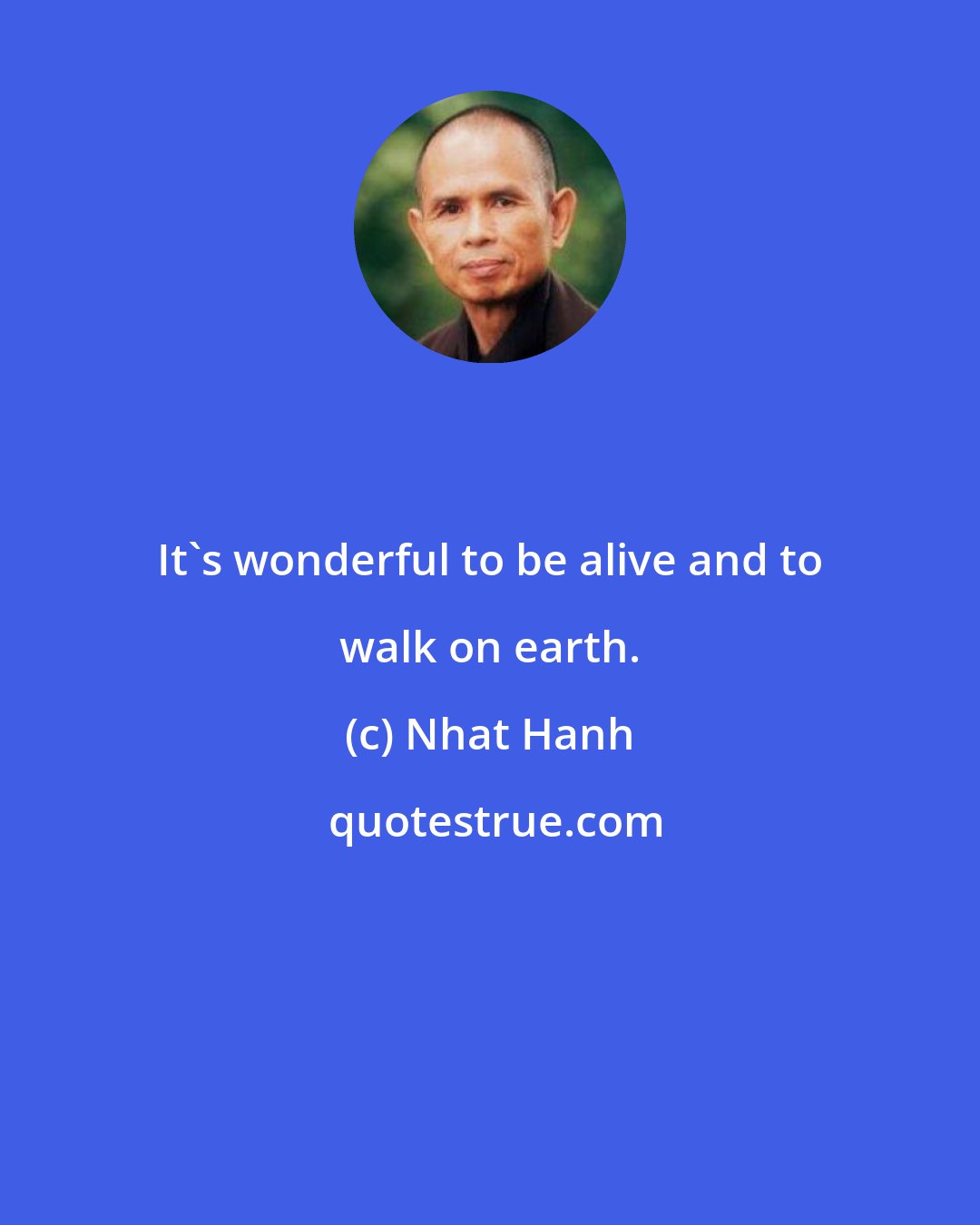 Nhat Hanh: It's wonderful to be alive and to walk on earth.