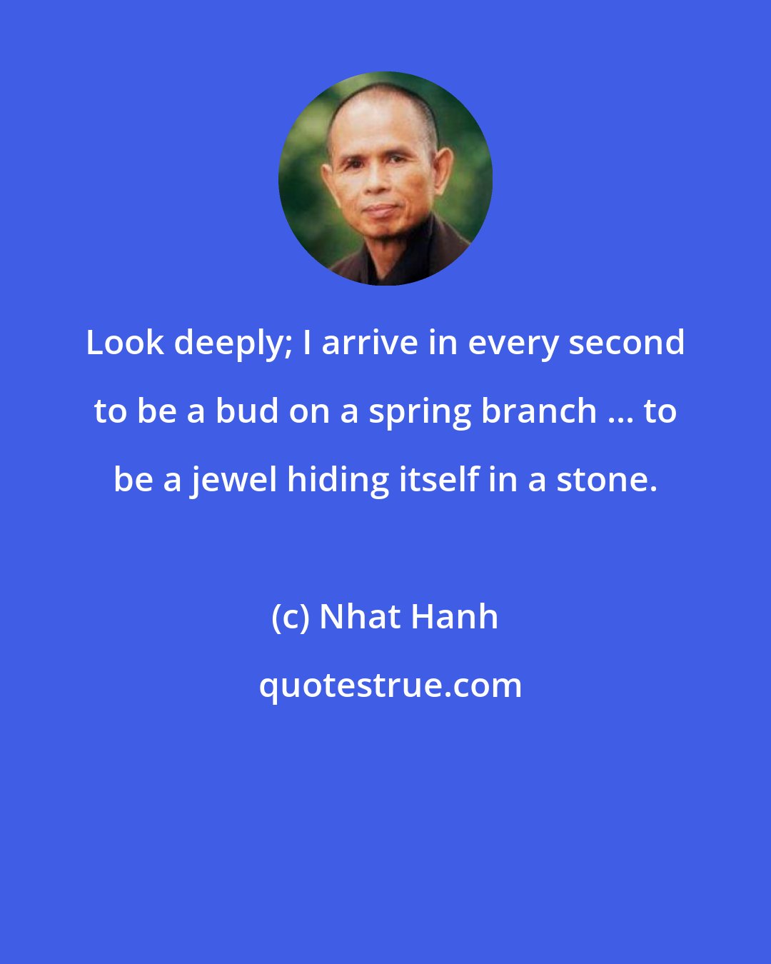 Nhat Hanh: Look deeply; I arrive in every second to be a bud on a spring branch ... to be a jewel hiding itself in a stone.