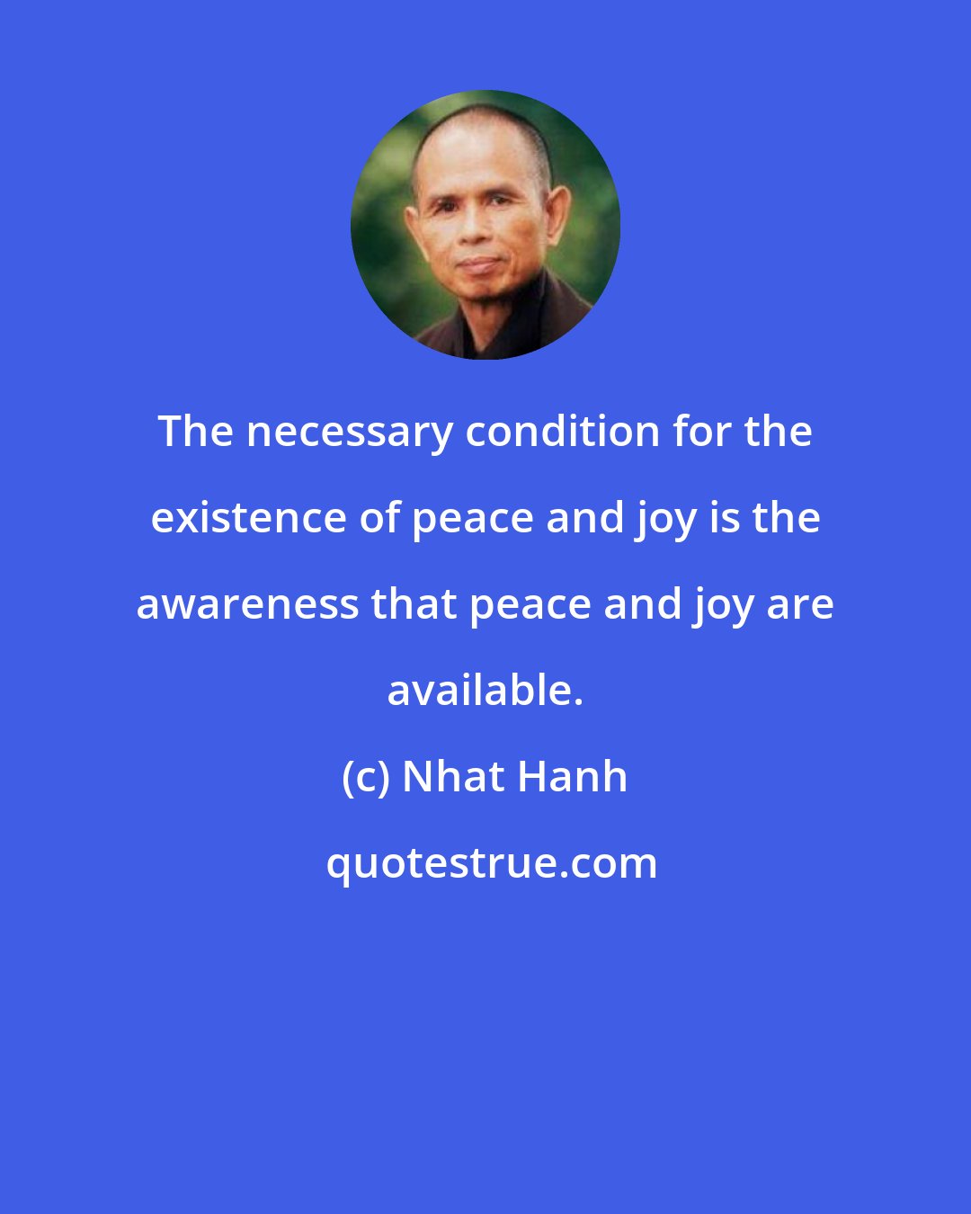 Nhat Hanh: The necessary condition for the existence of peace and joy is the awareness that peace and joy are available.