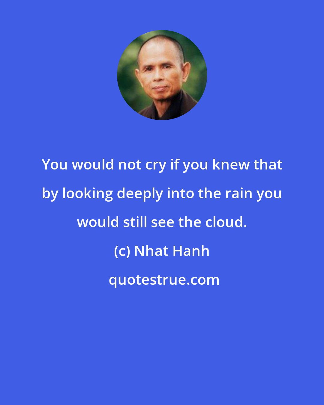 Nhat Hanh: You would not cry if you knew that by looking deeply into the rain you would still see the cloud.